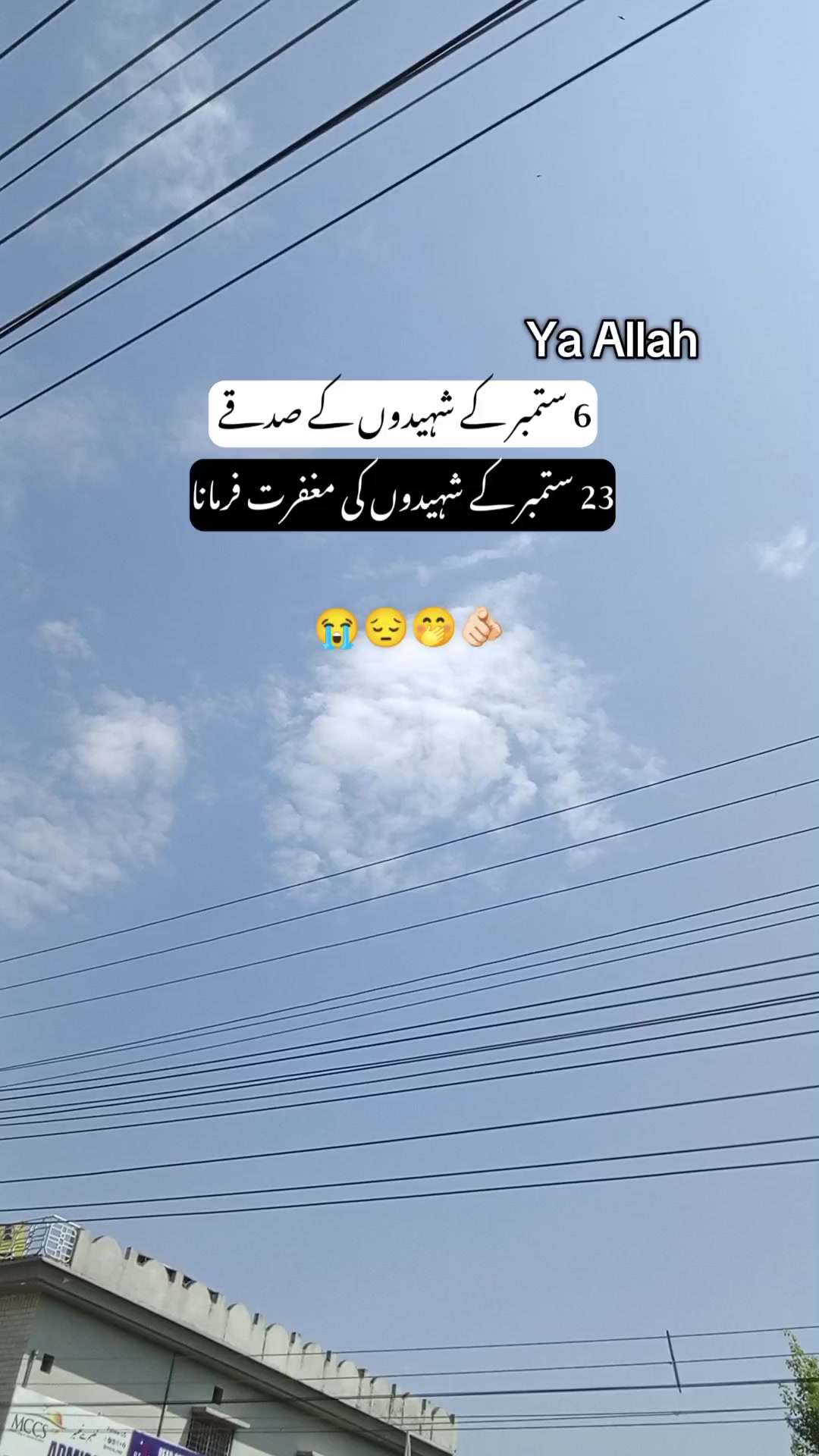 @Khalil Bhutta