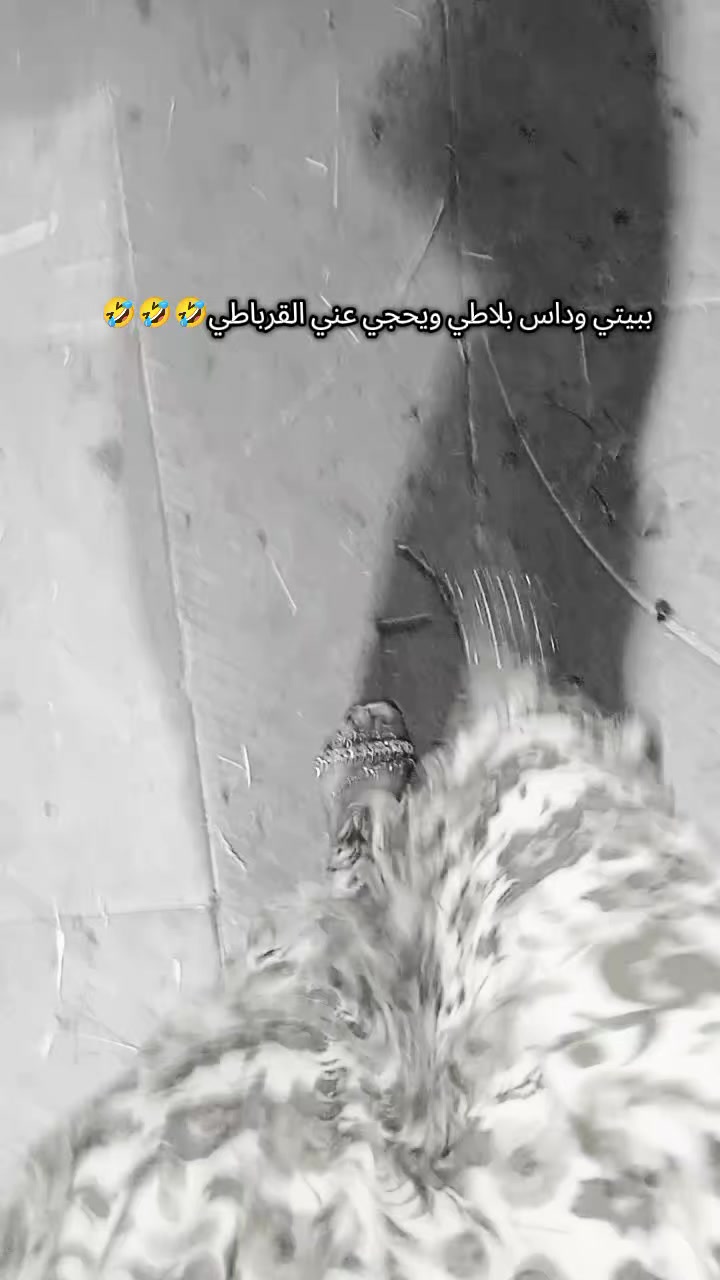 @🪽 🤍 مـلآك🪽 ༺Forever༻ 🤍🪽