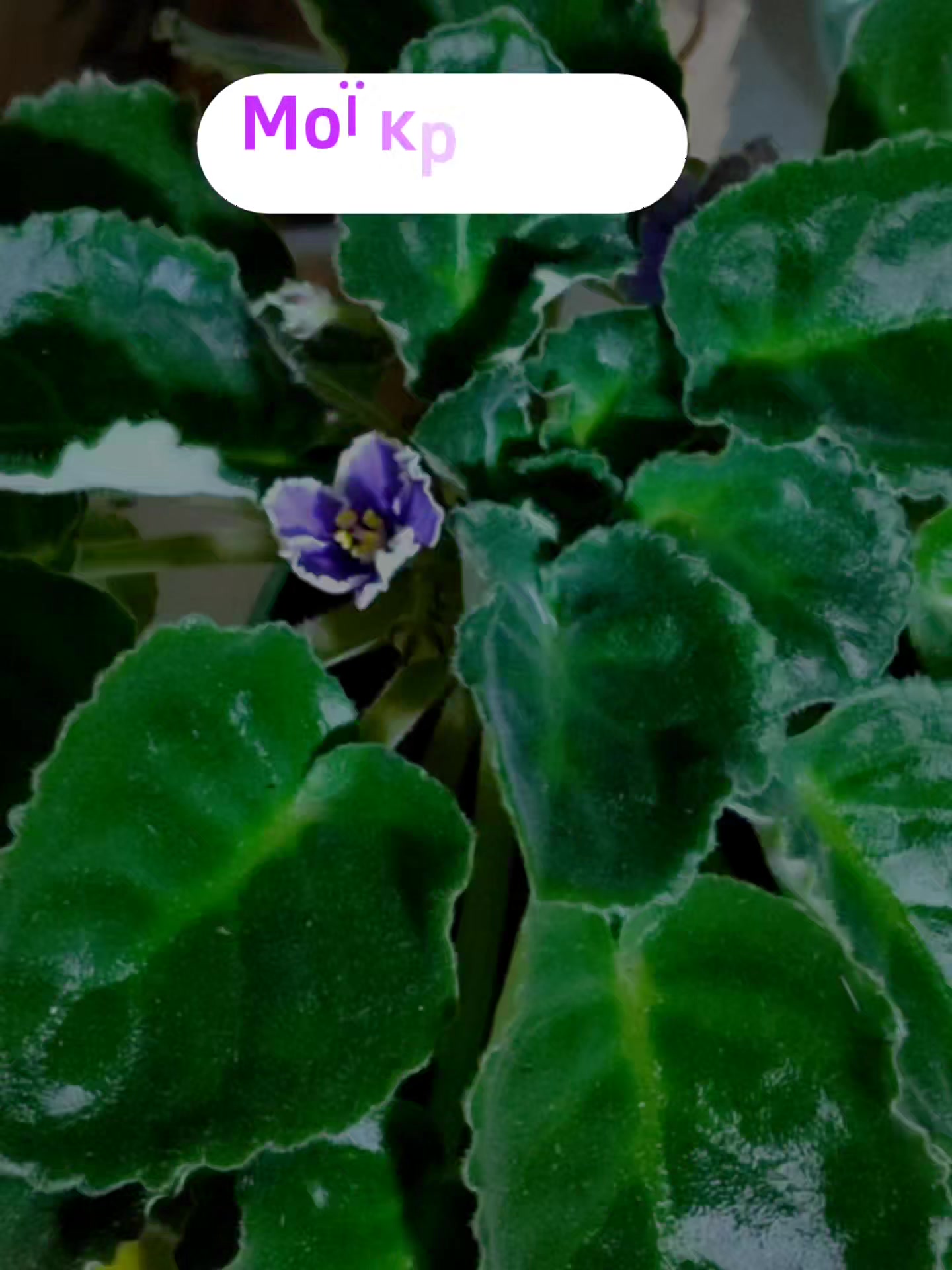 @Ірина одяг .