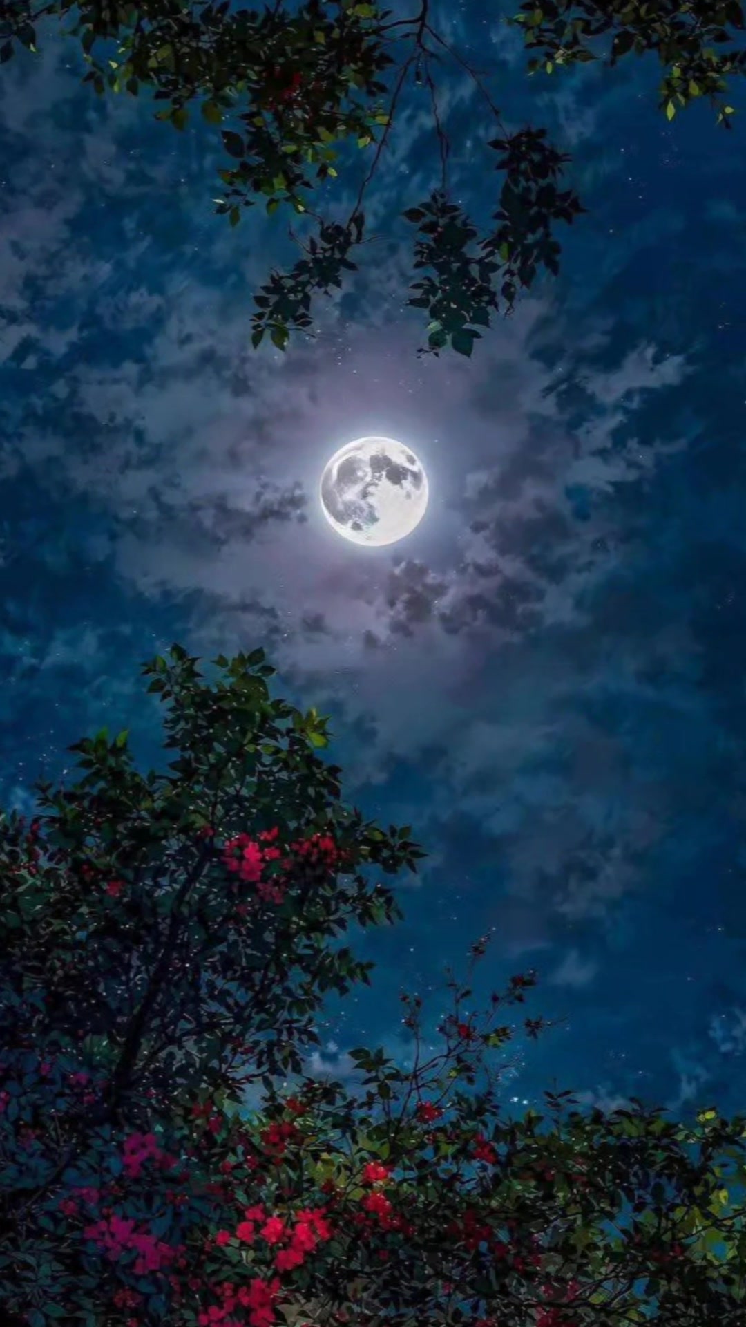 @🎧🕊️🅐︎🅛︎🅞︎🅝︎🅔︎🕊️🎧