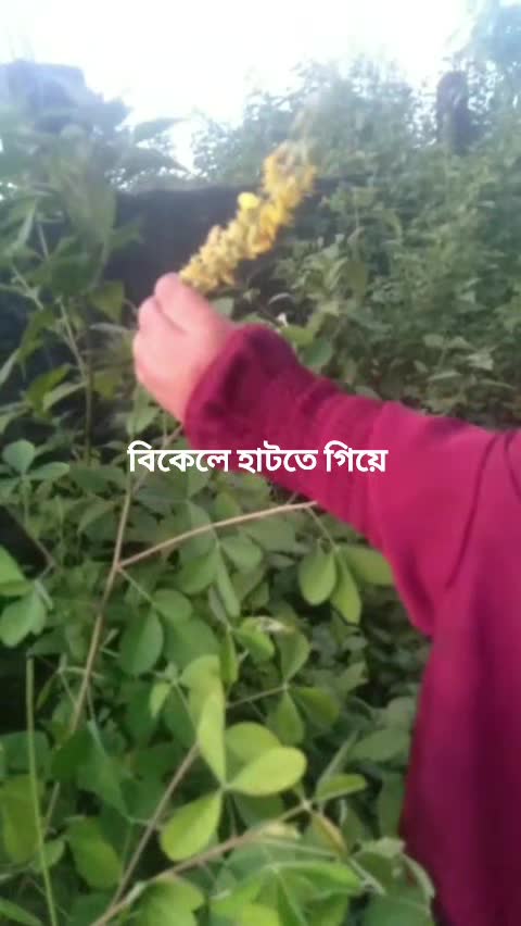 @আল্লাহ'র বান্দি