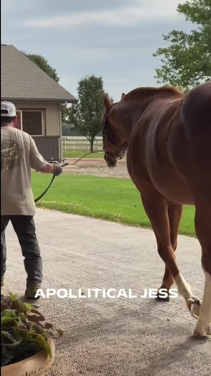 @carriles altos de jalisco🐎