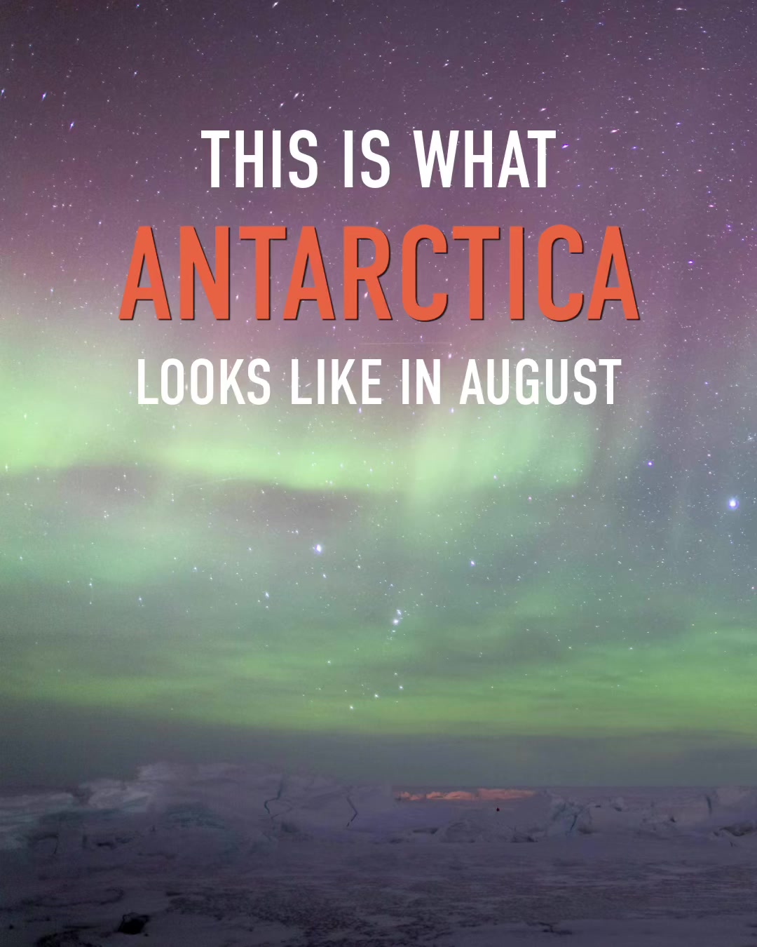 @Matty Jordan | Antarctica
