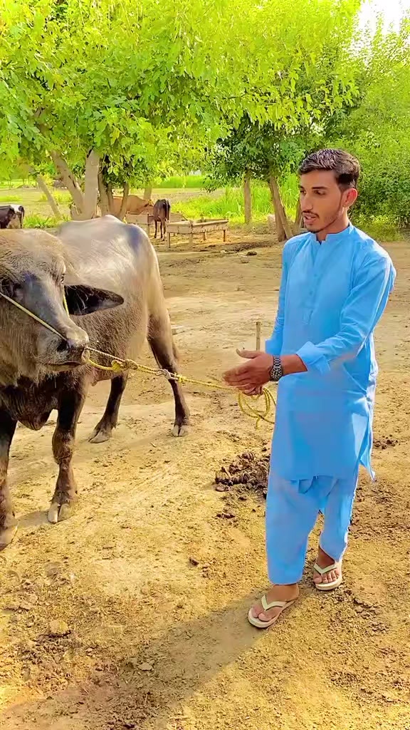 @Imranmerani66