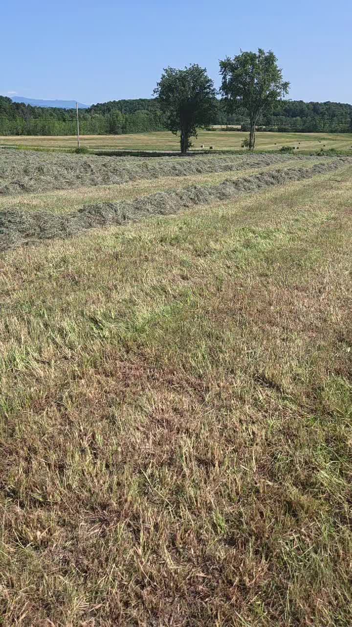 @BrokenHaloFarm