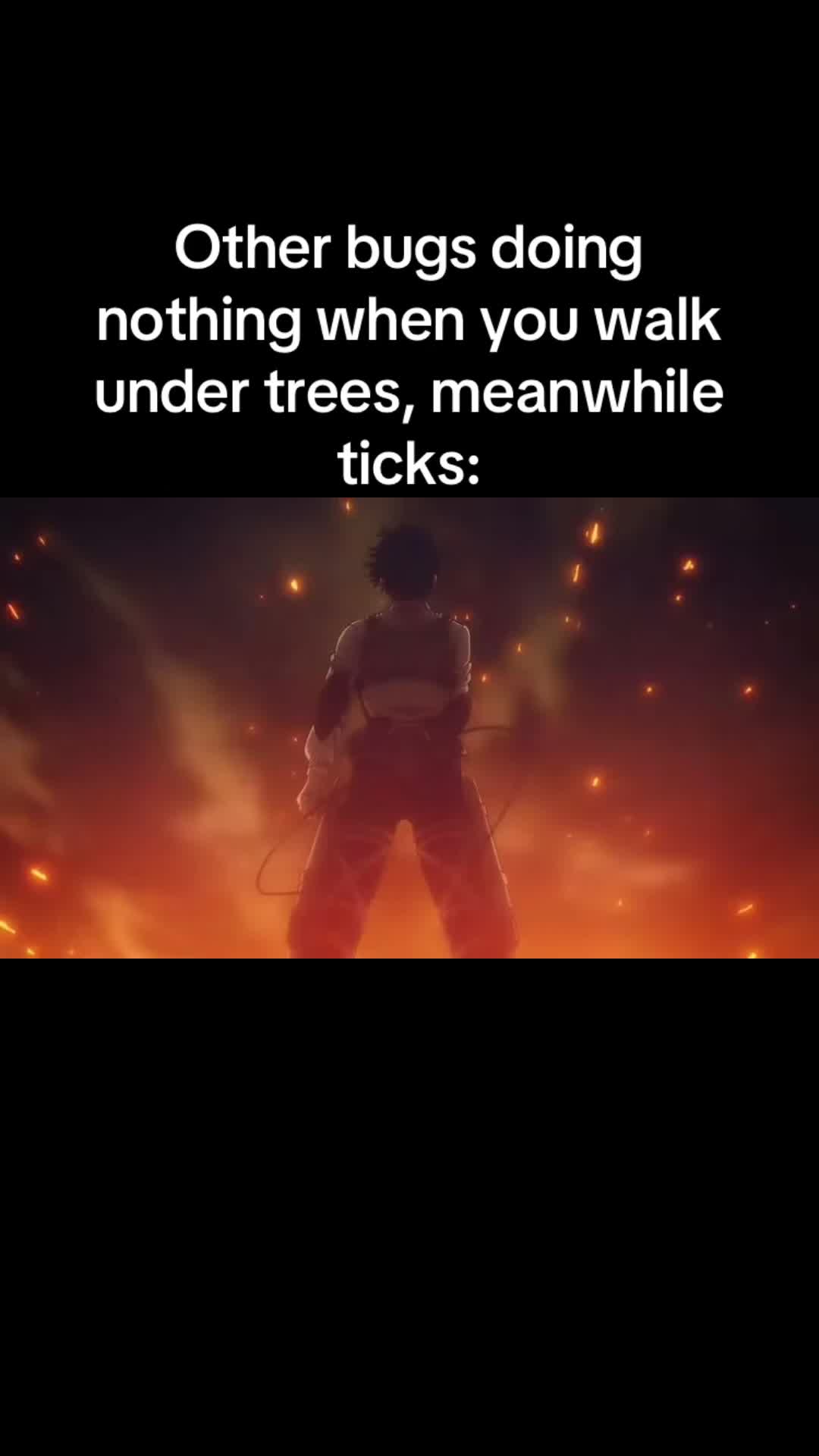 @NoahNosNothin