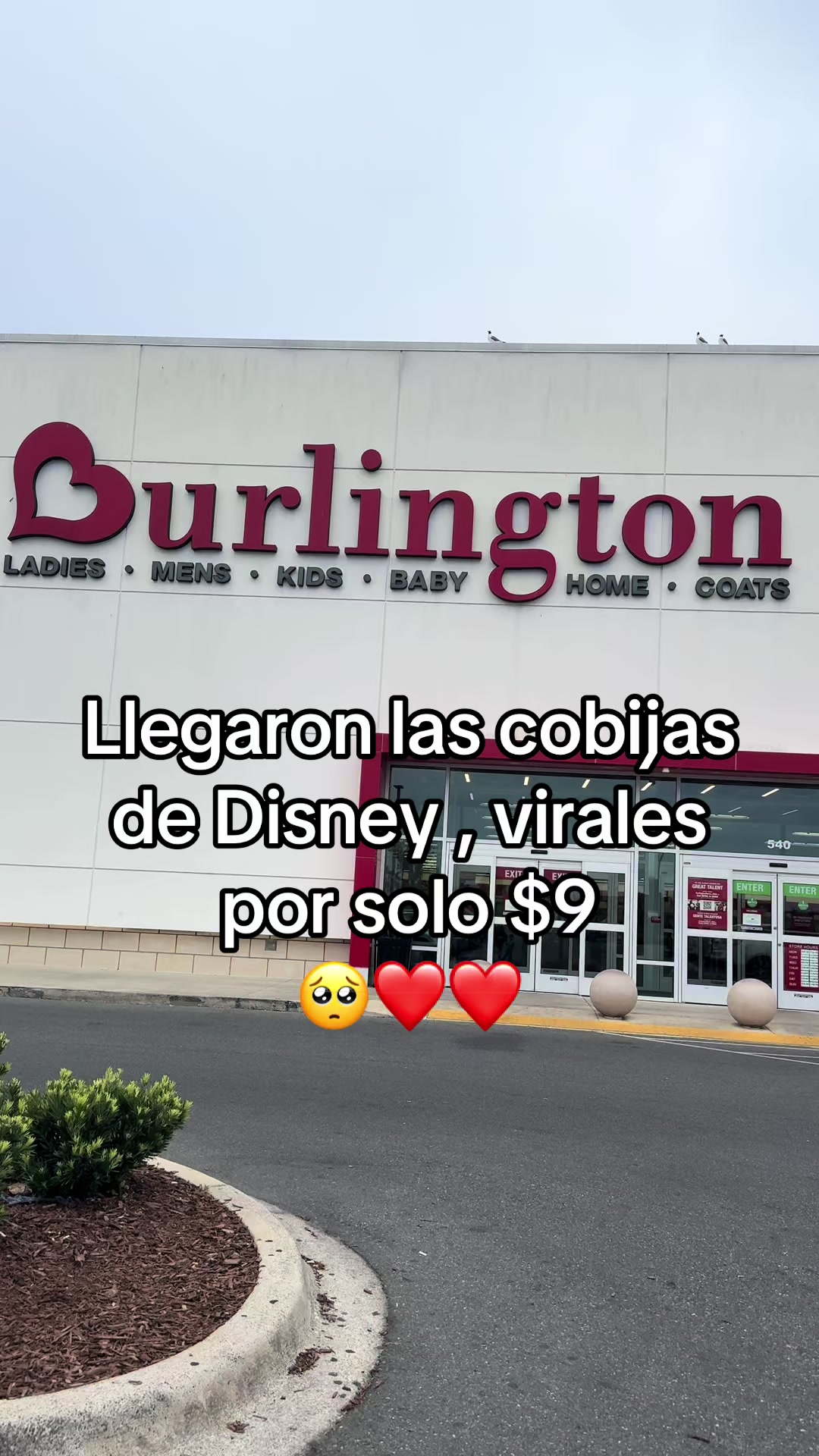 @Eliss🛍️🎀