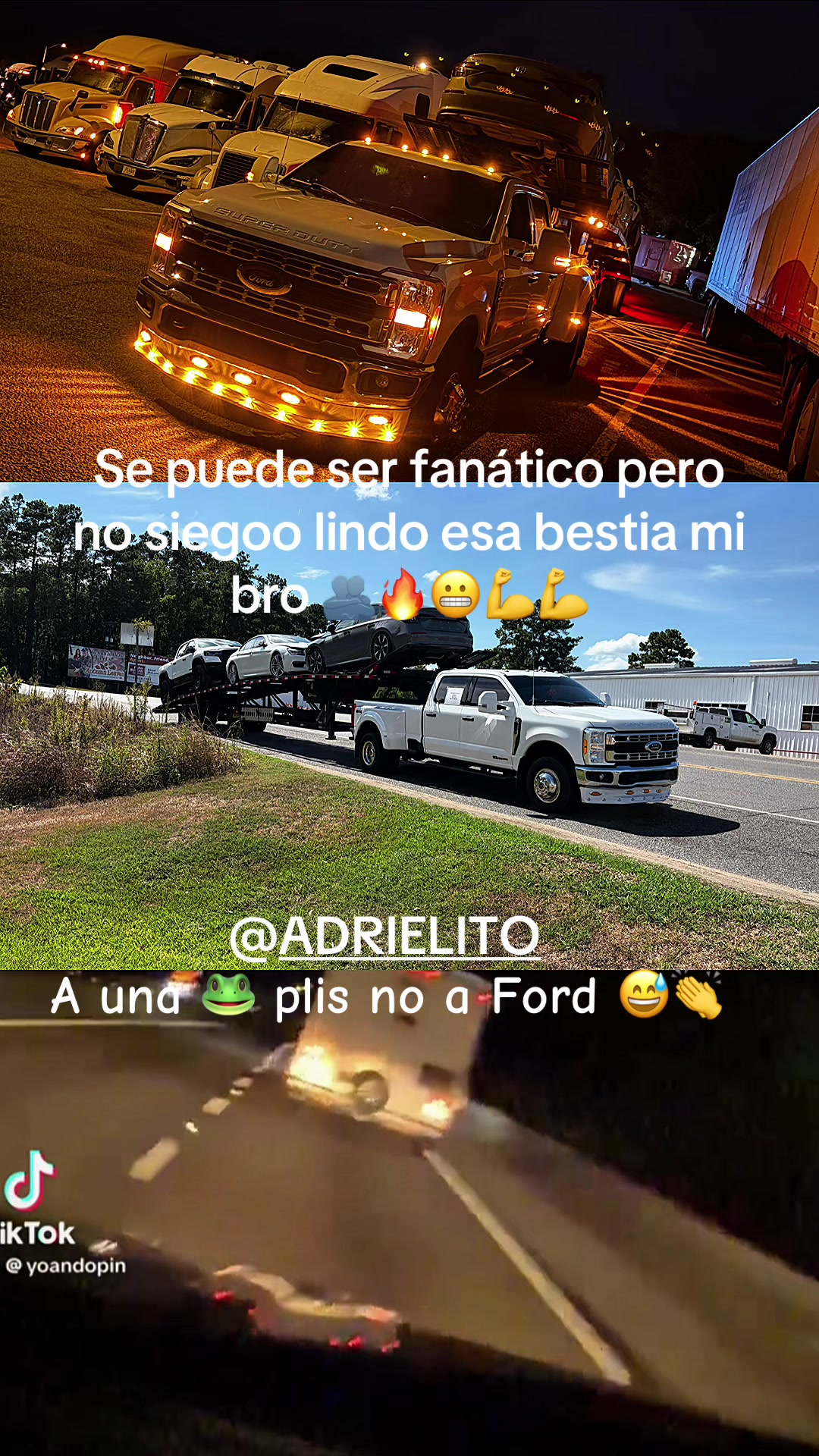 @✌️El pap&aacute; de los cachorros 🐶