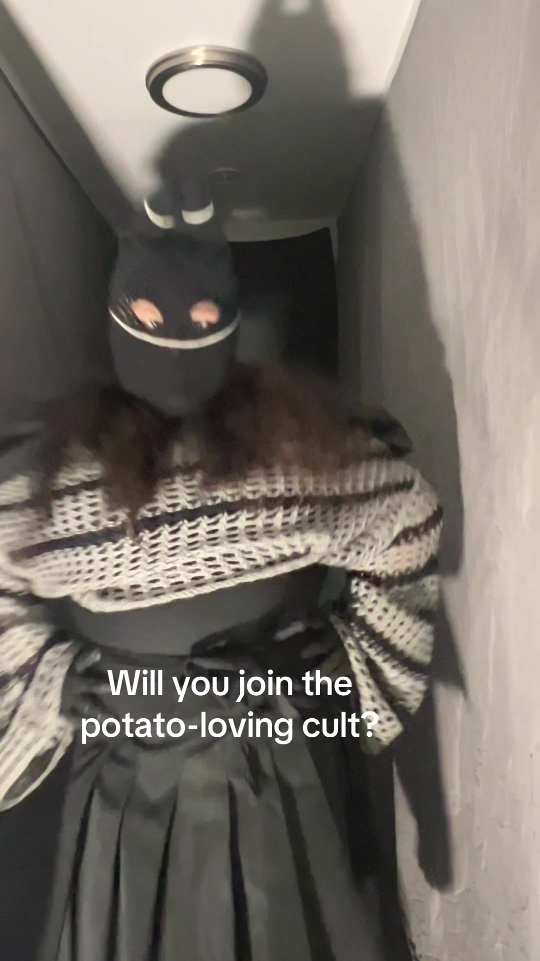 @Fluffy Potato
