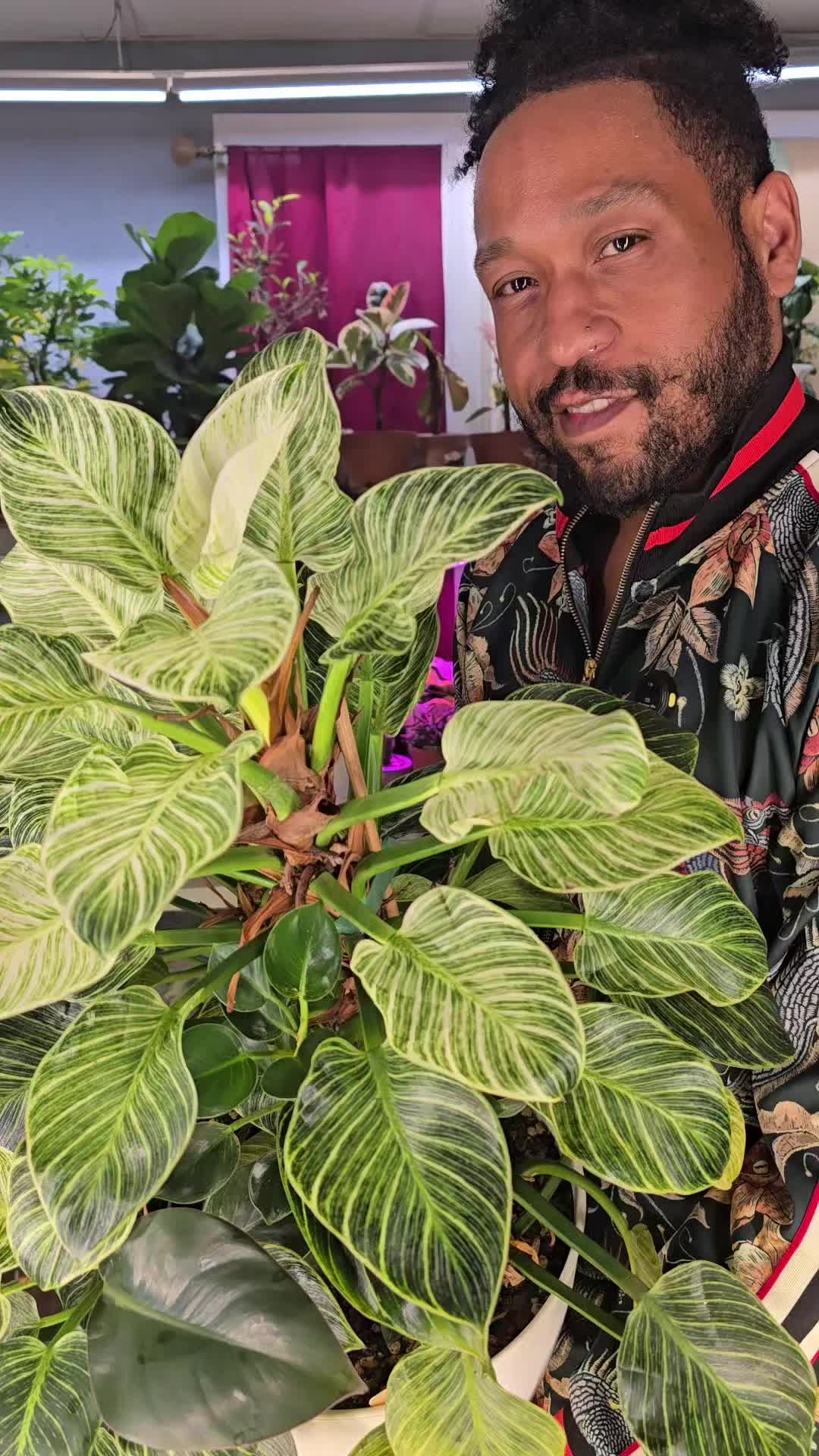 @JT - BigEGOPlants