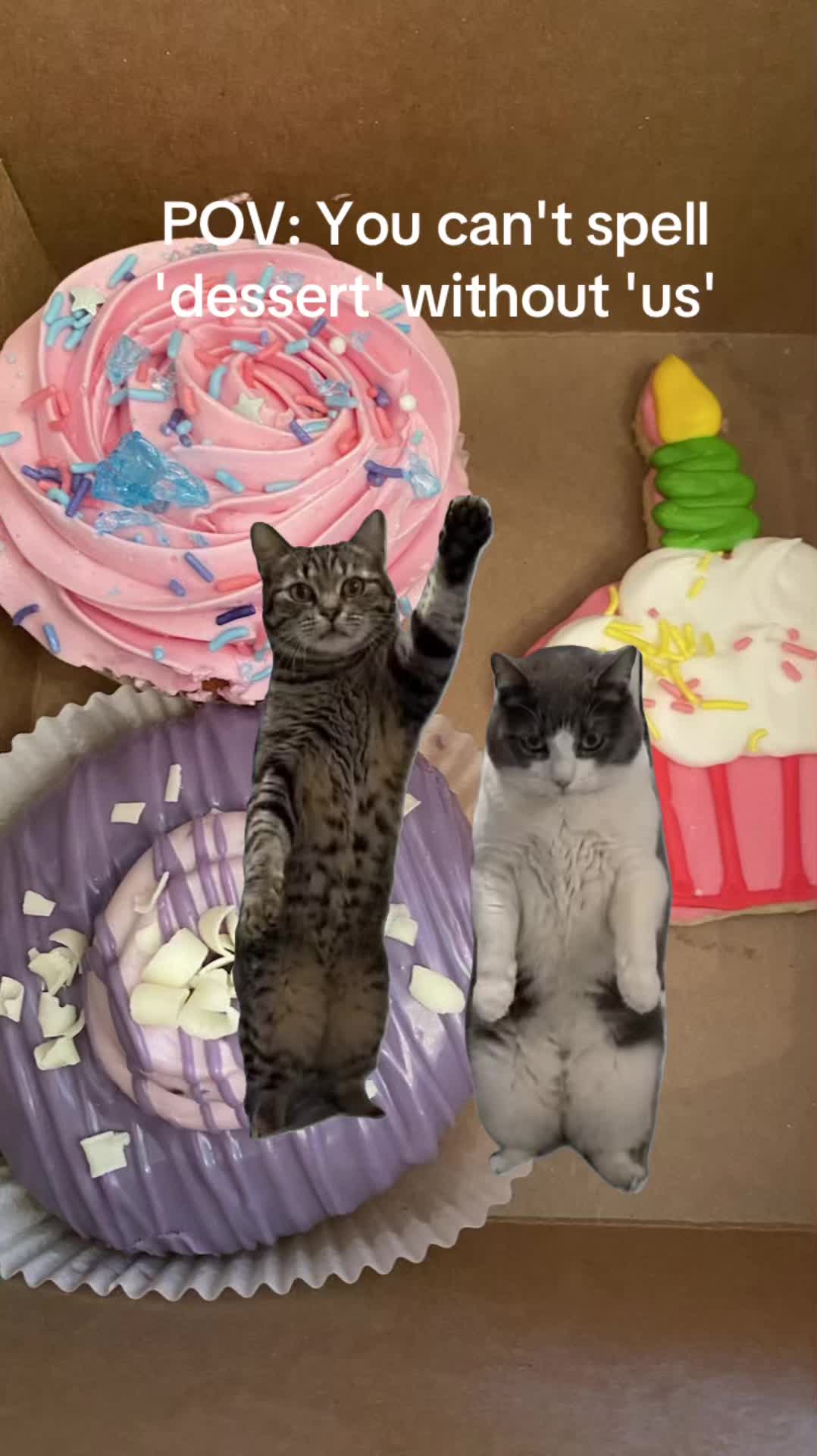 @kim_wall0