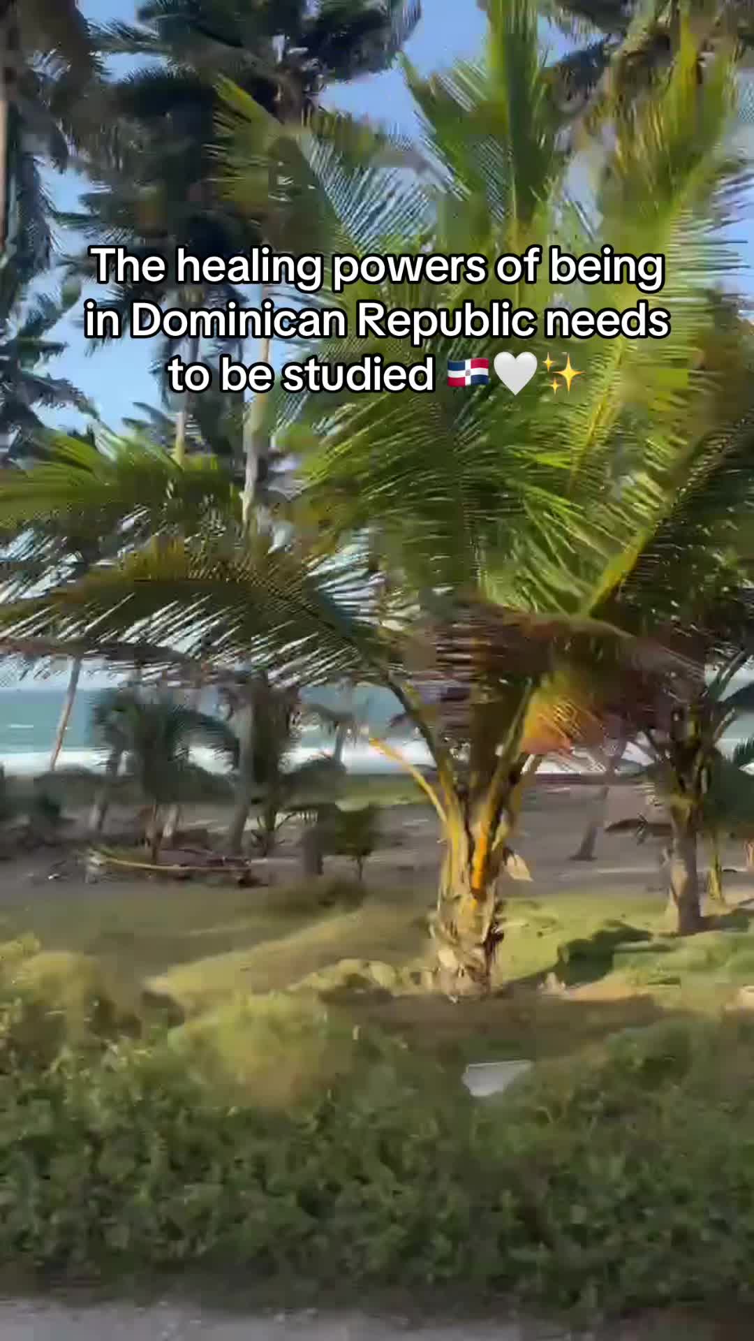 @Dominique Costlow