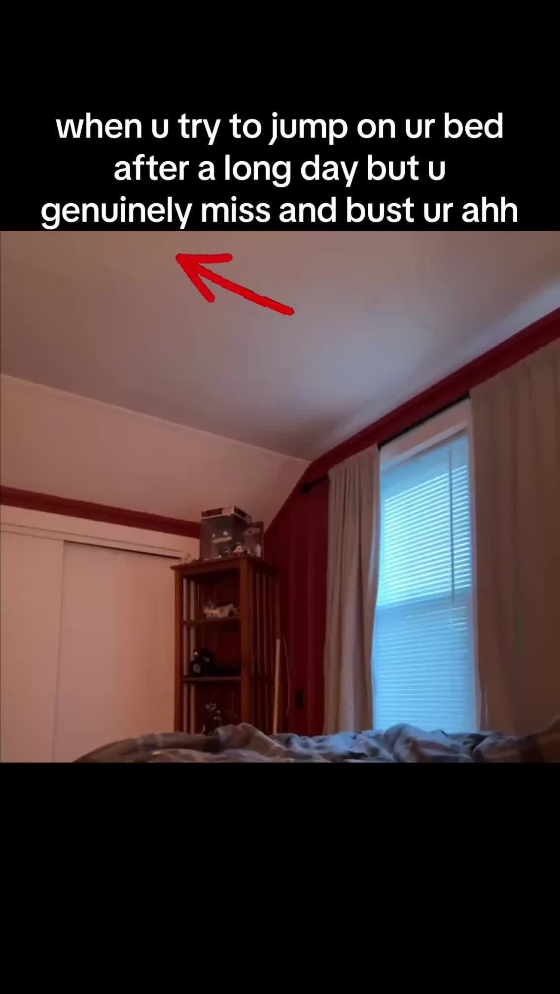 @davlicc