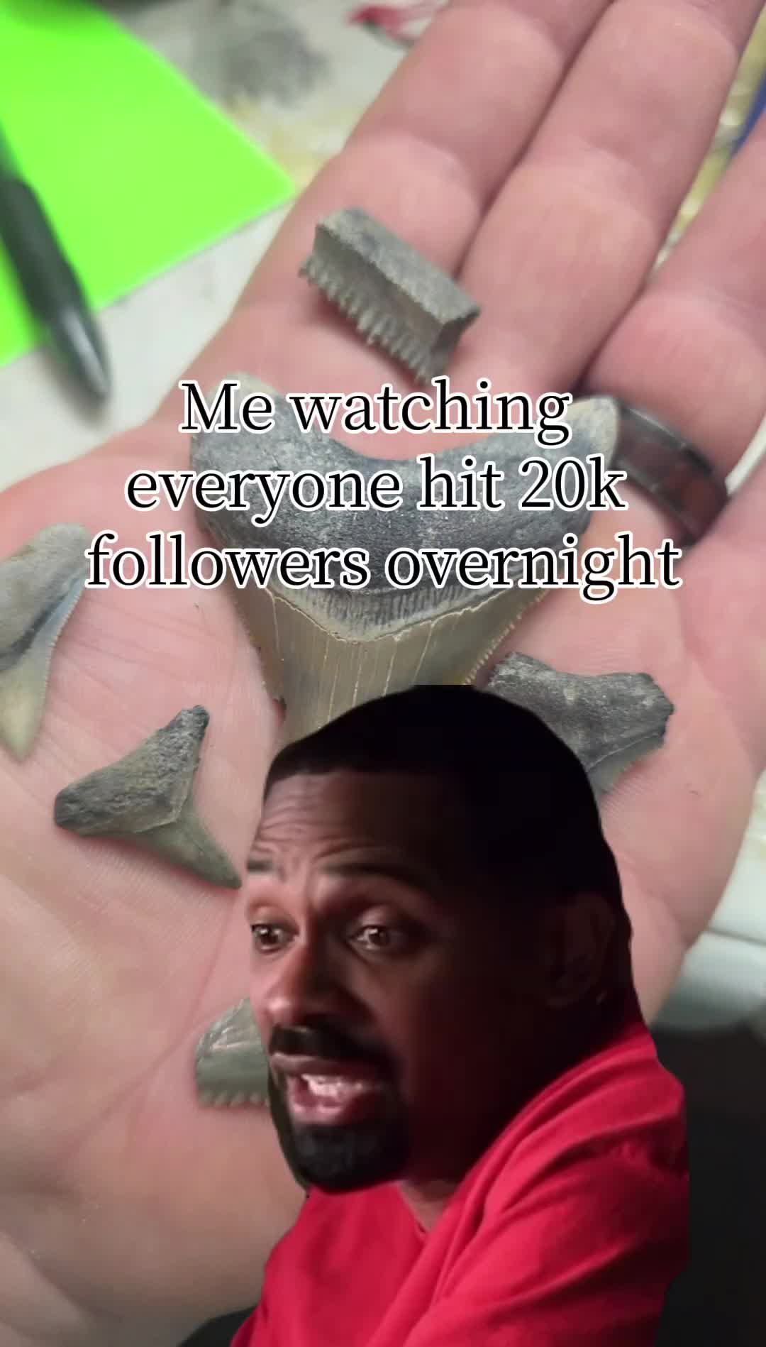 @RelicReef