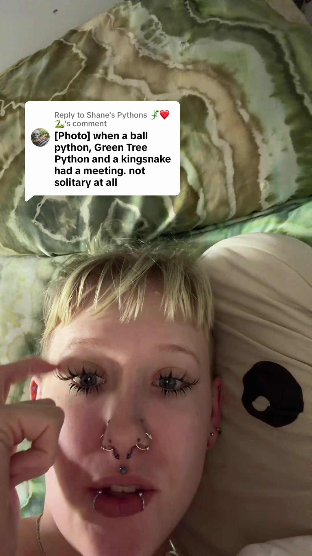 @layla🦎🍃