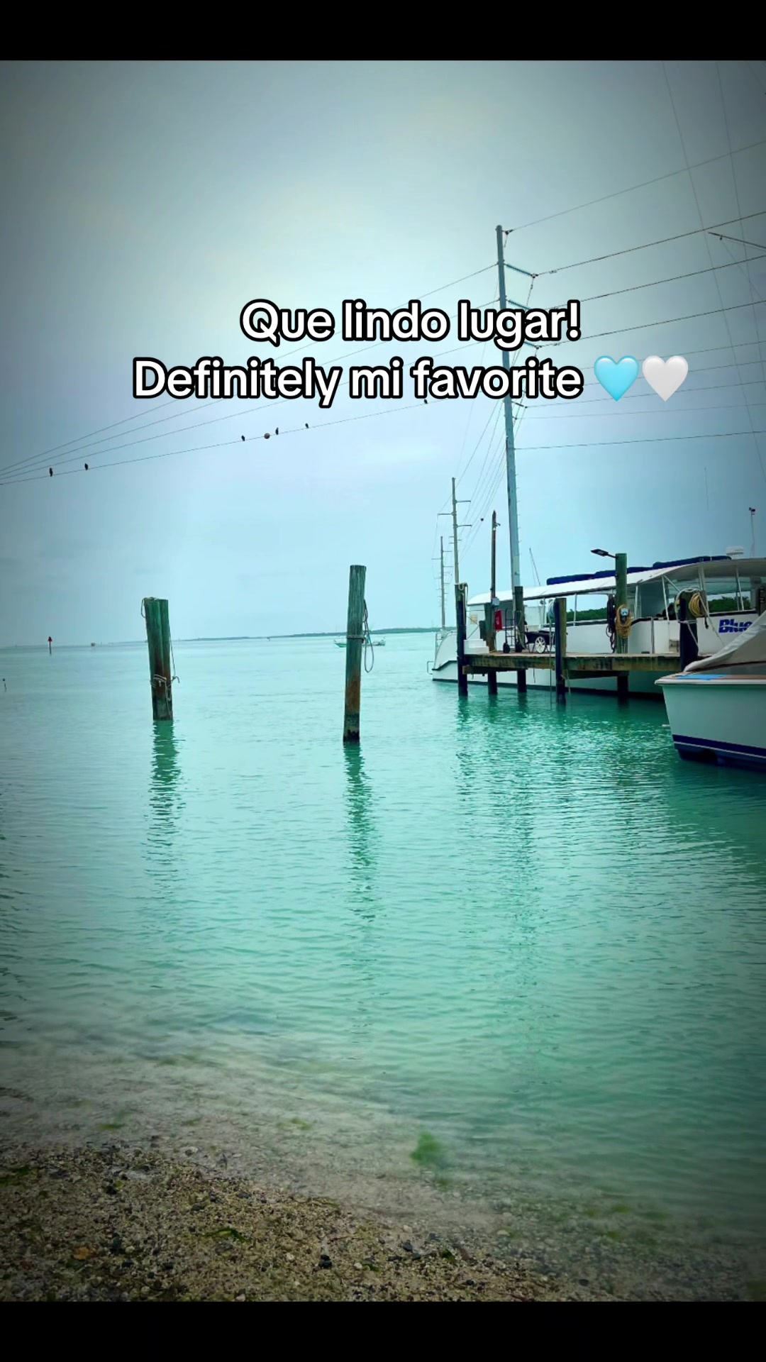 @la_jimagua🌊🐚🪸♑️