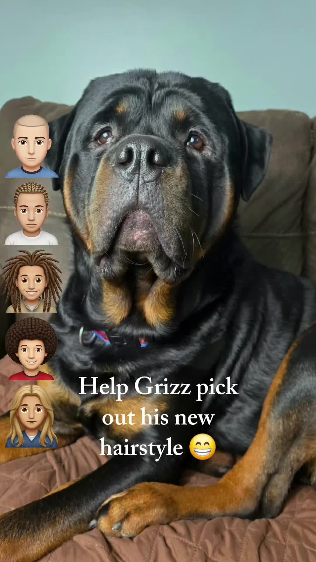 @GRIZZ the ROTTen