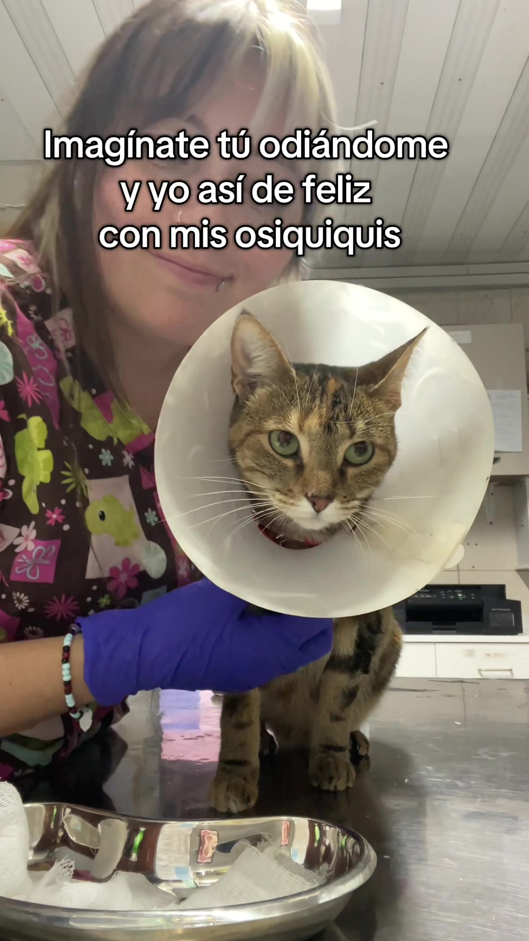 @Stefy Donoso