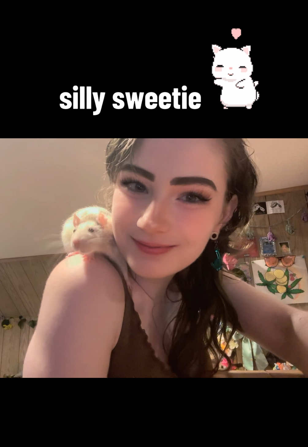 @lookatmyrodents