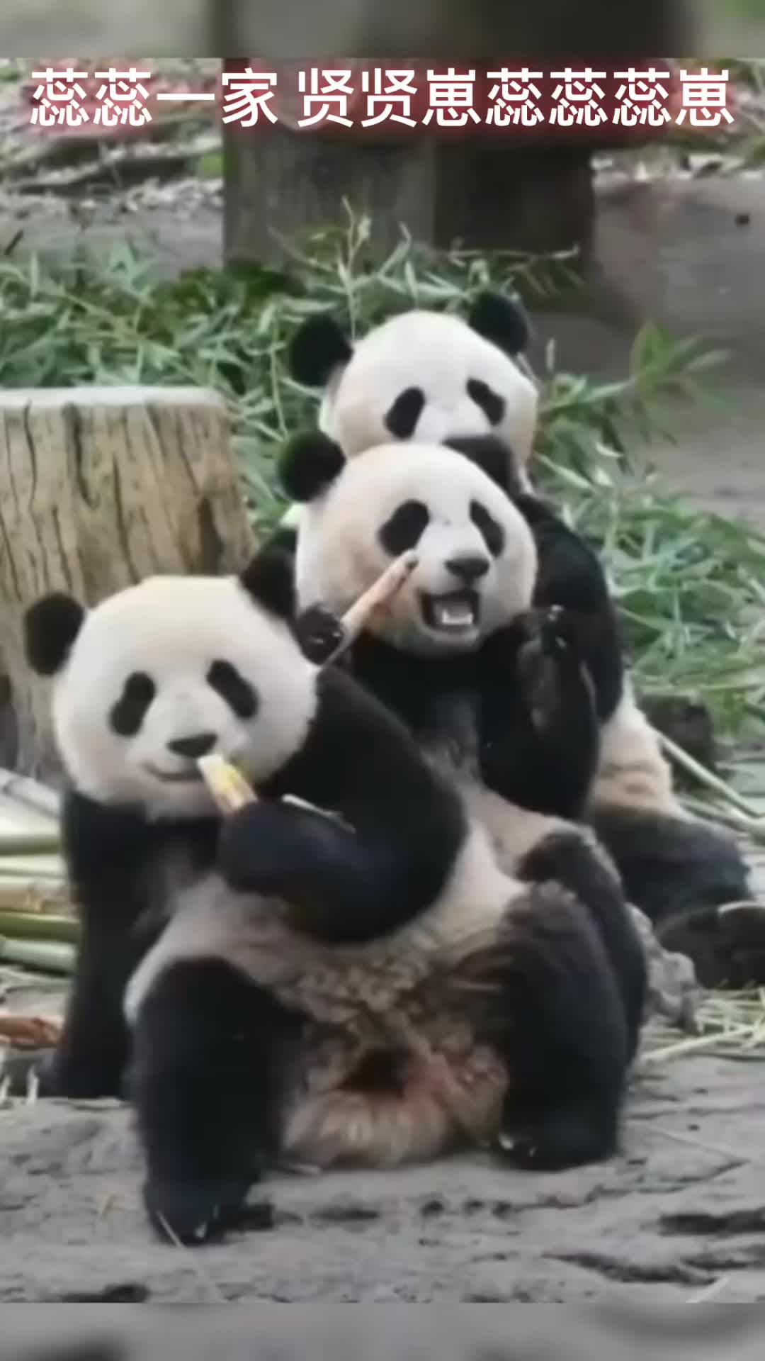 @一生等待