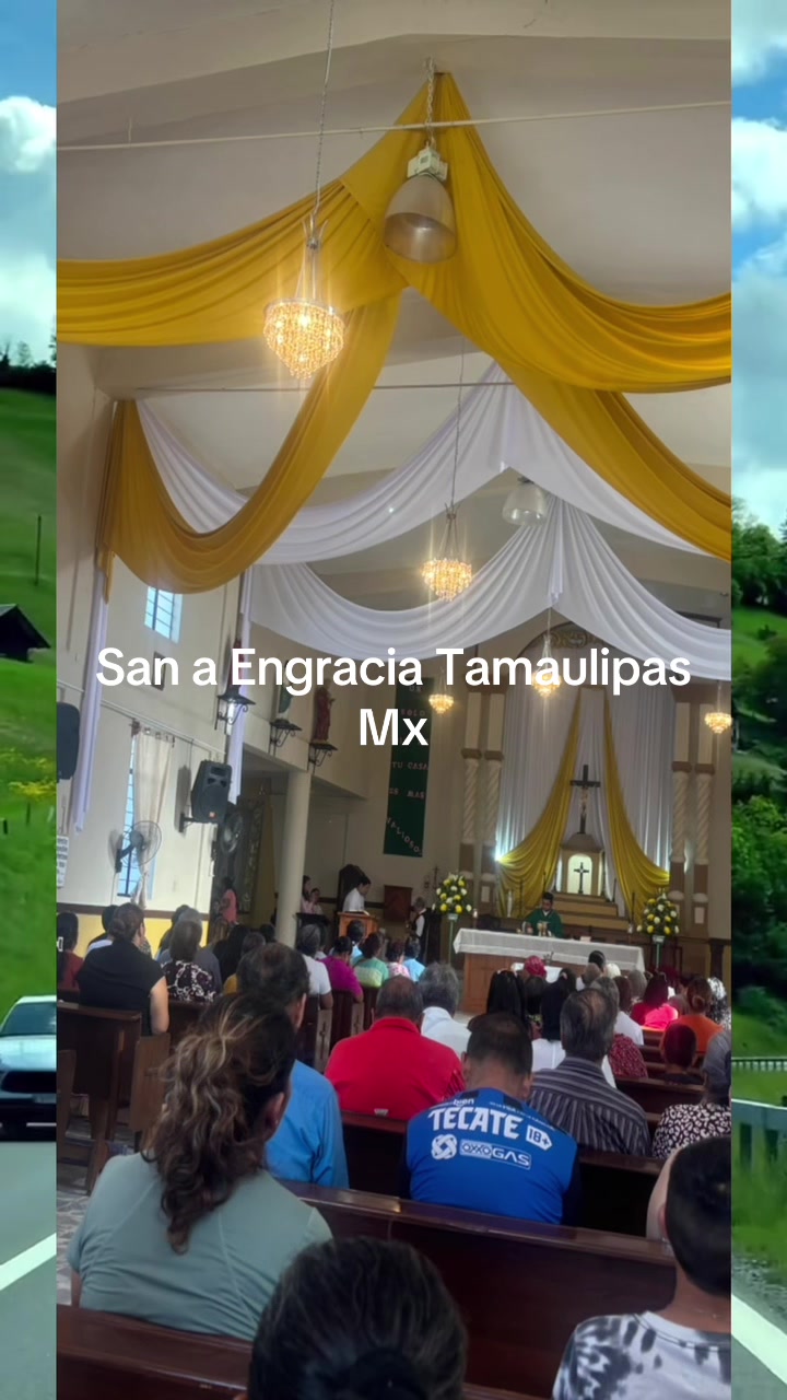 @Águila 331