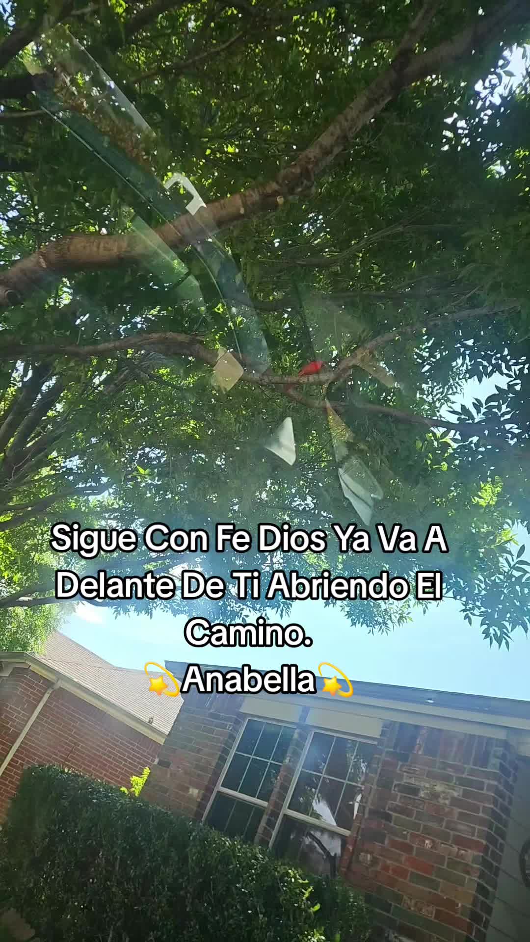 @🪬🫶🧿Anabella🪬🫶🧿
