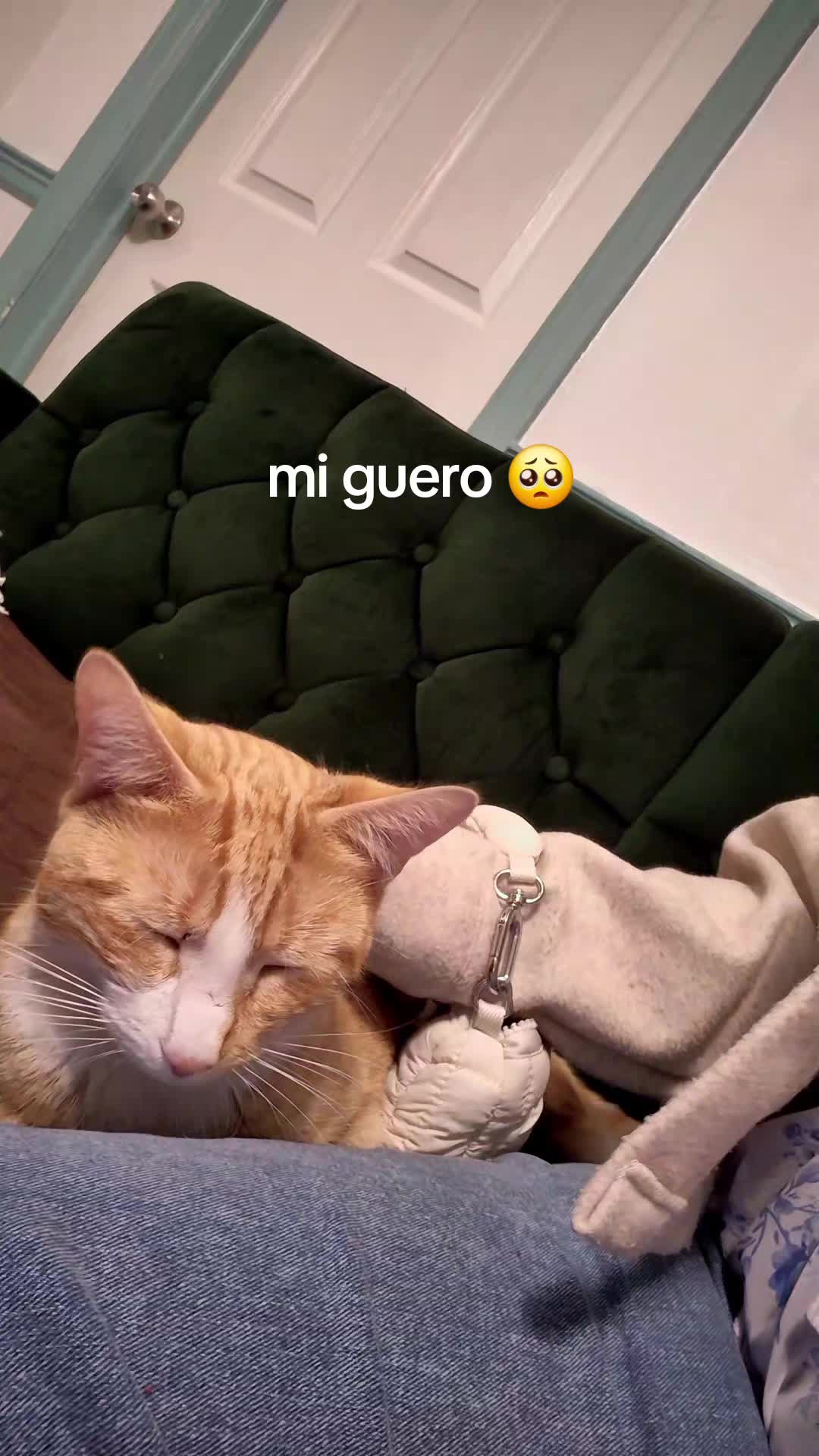 @Nena Orellana Romero