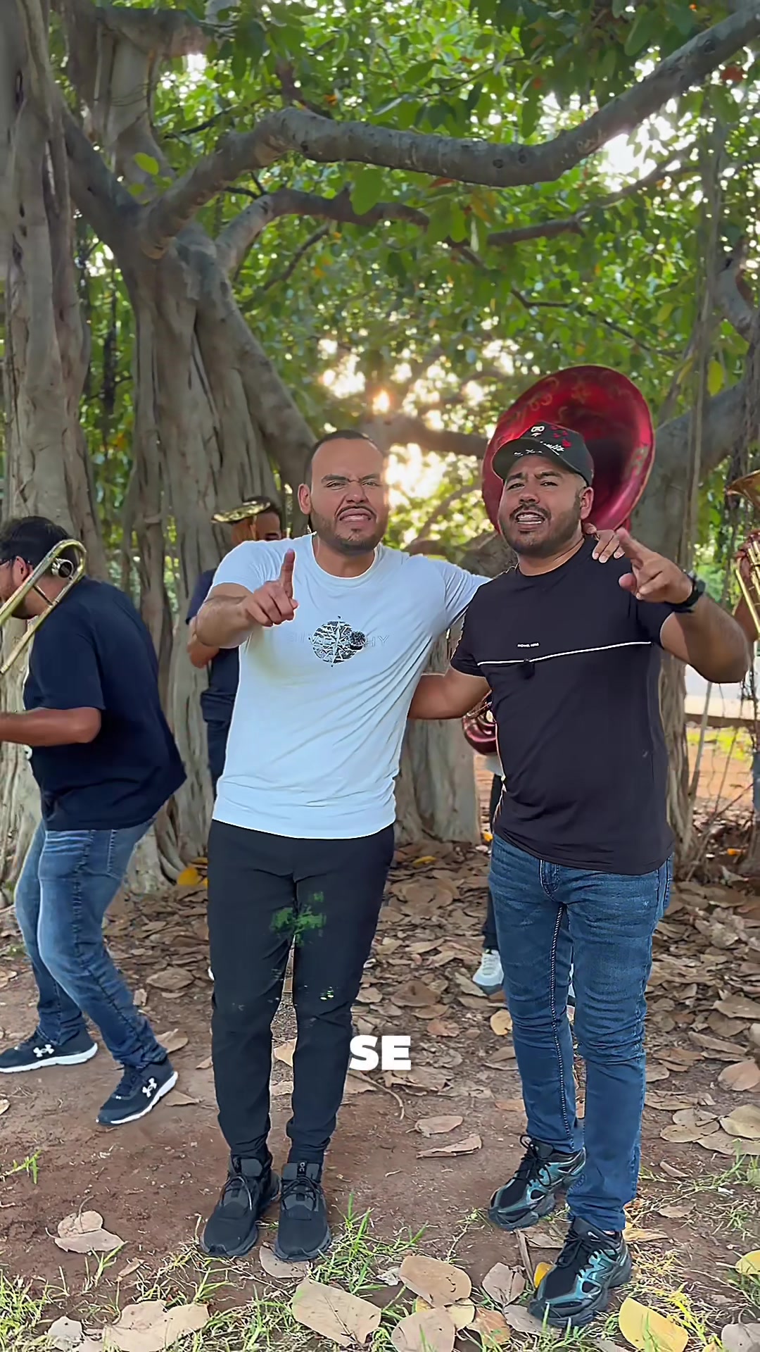 @Banda Renovaci&oacute;n