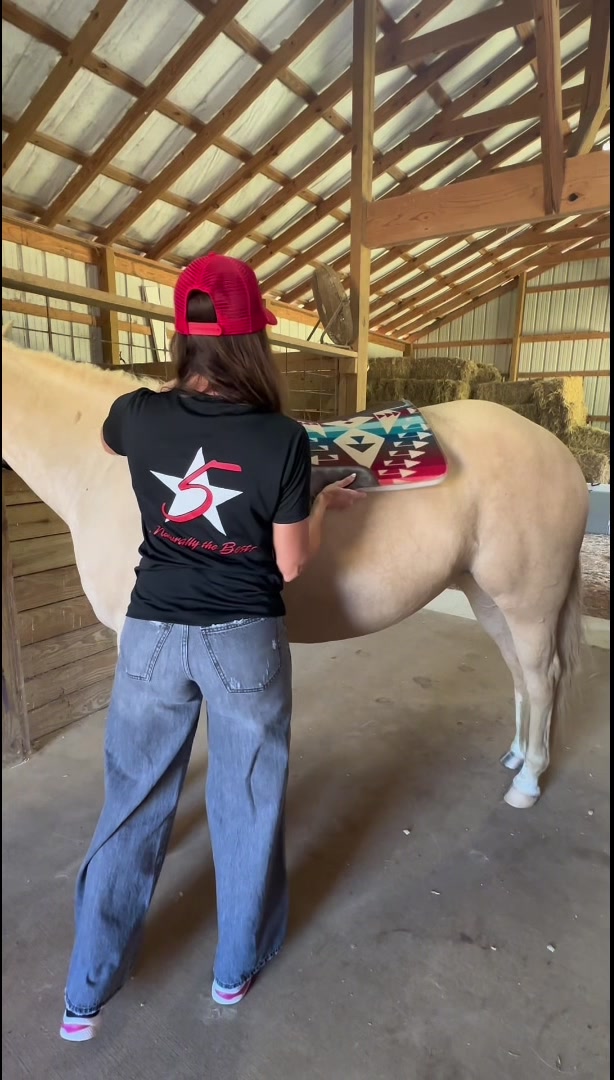 @5 Star Equine