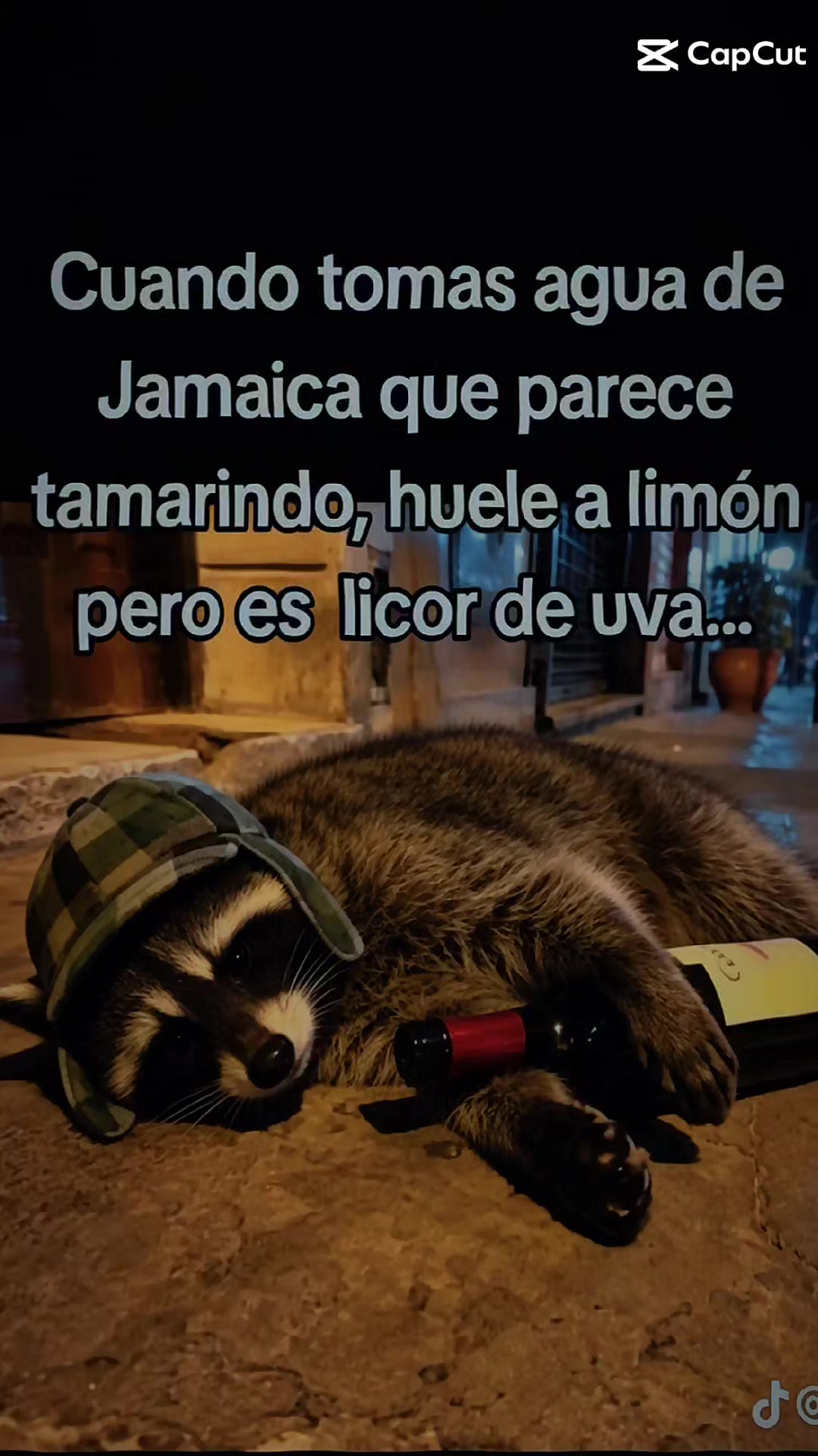 @👑🪽ЄL🦝M@P@CHЄ
