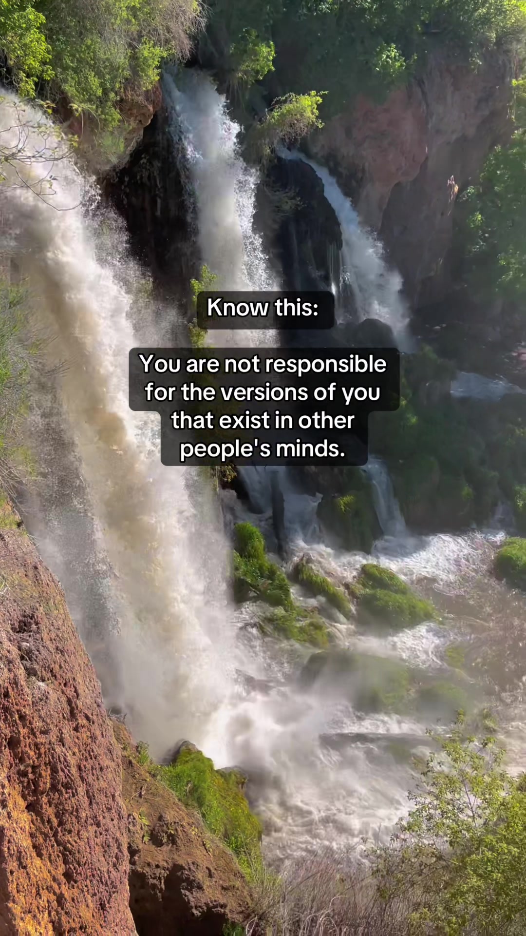 @HolisticHealingThoughts