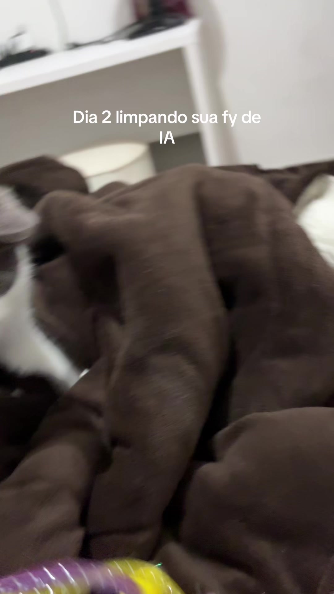 @sushasco