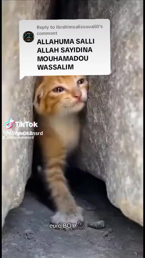 @Ibrahim