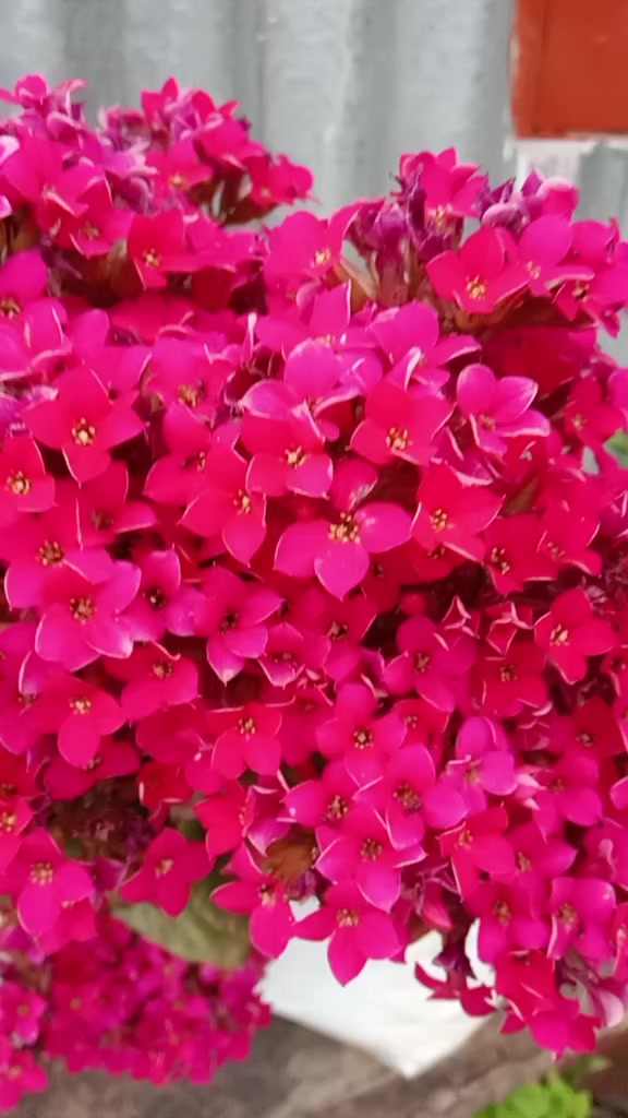 @भारद्वाज