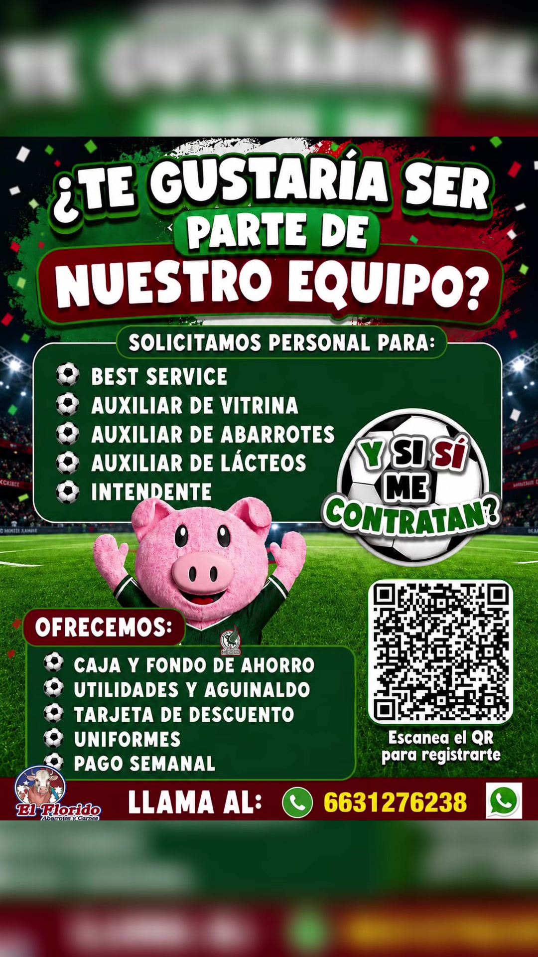 @miguel ibarra