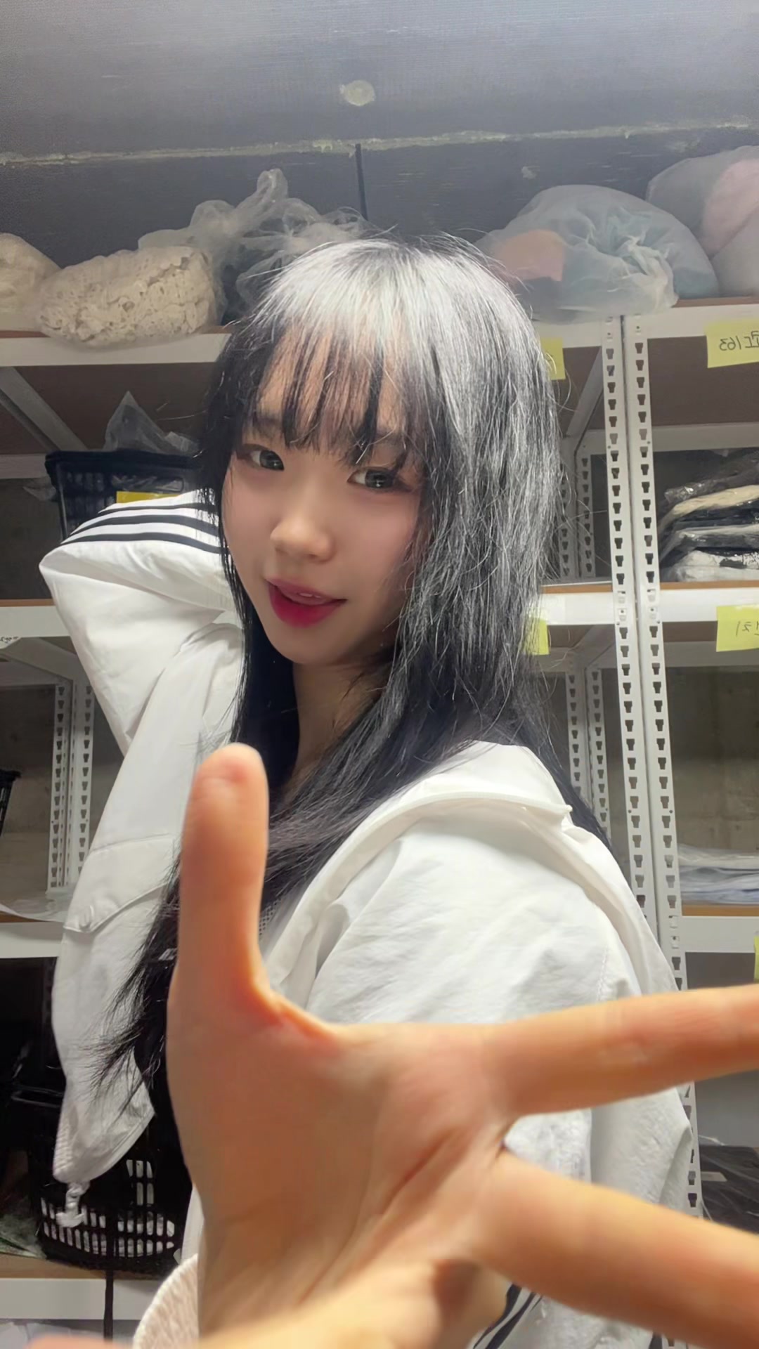 @묘월 卯月 ☪︎·̩͙
