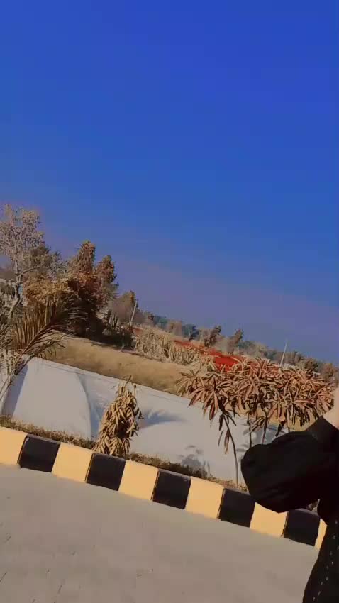@منور سمبلی ہڈالی
