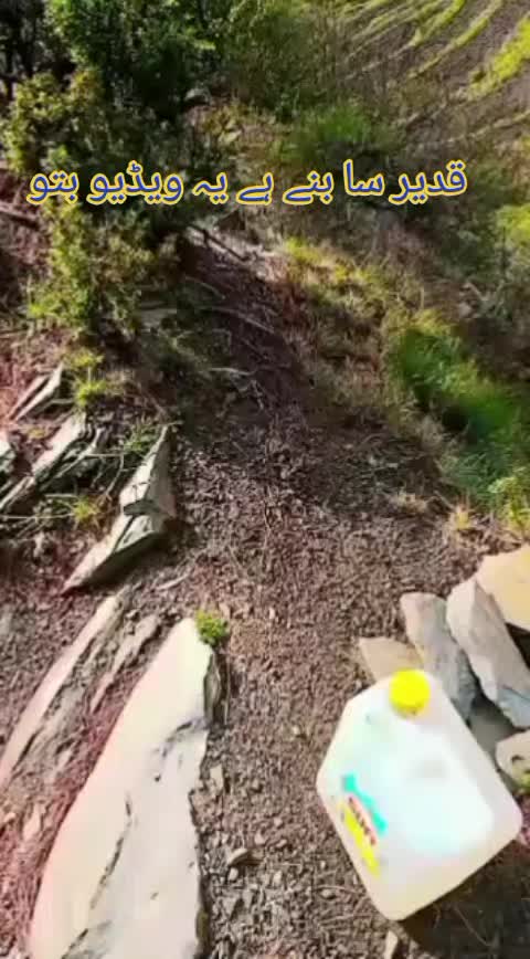 @انجان لڑکی