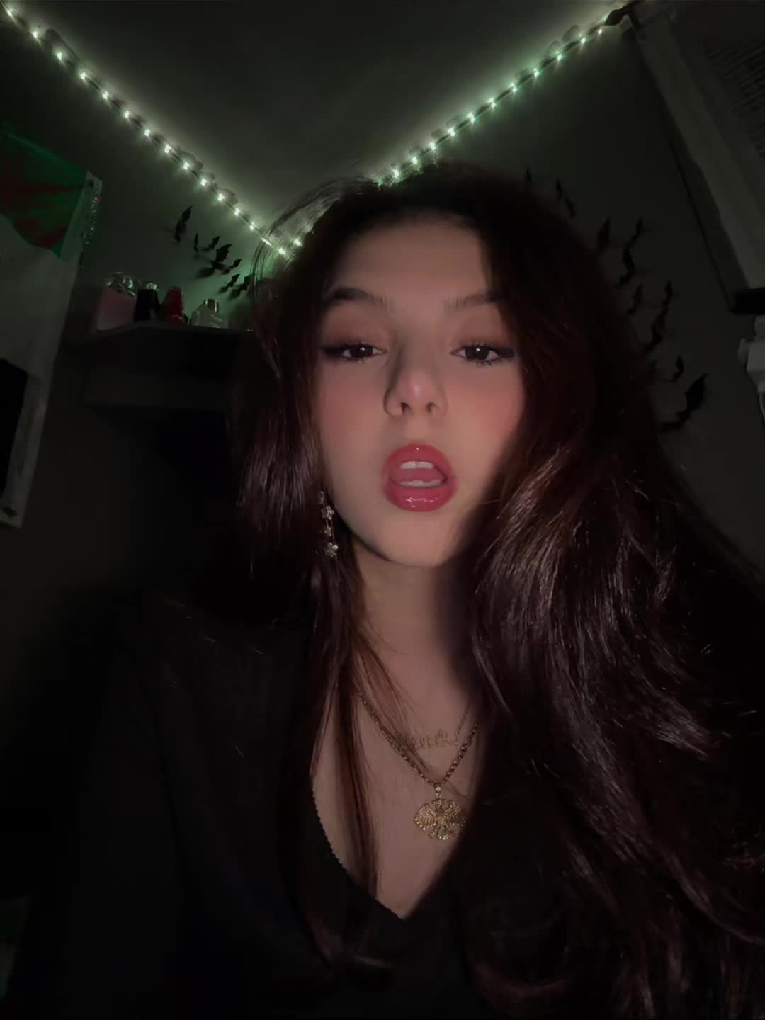 @Aslo🪶
