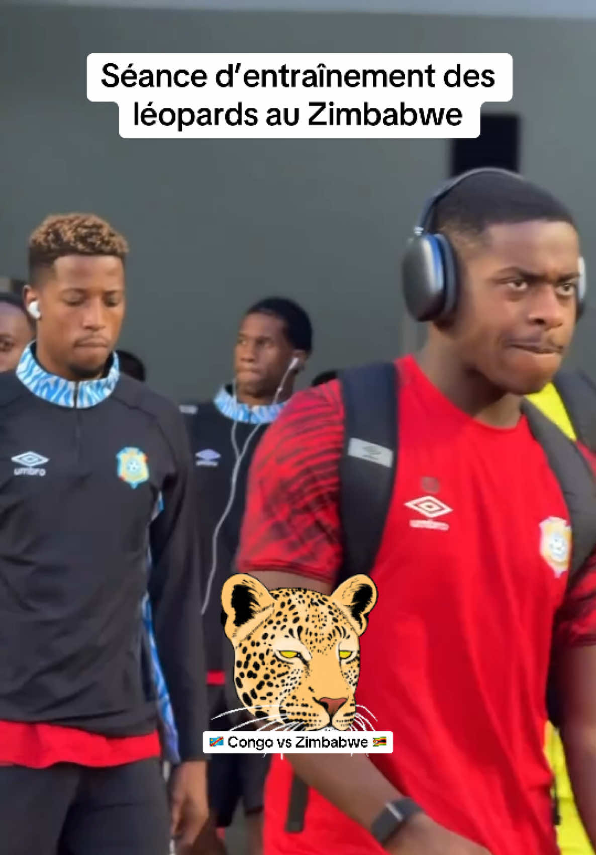 @congolese_dna