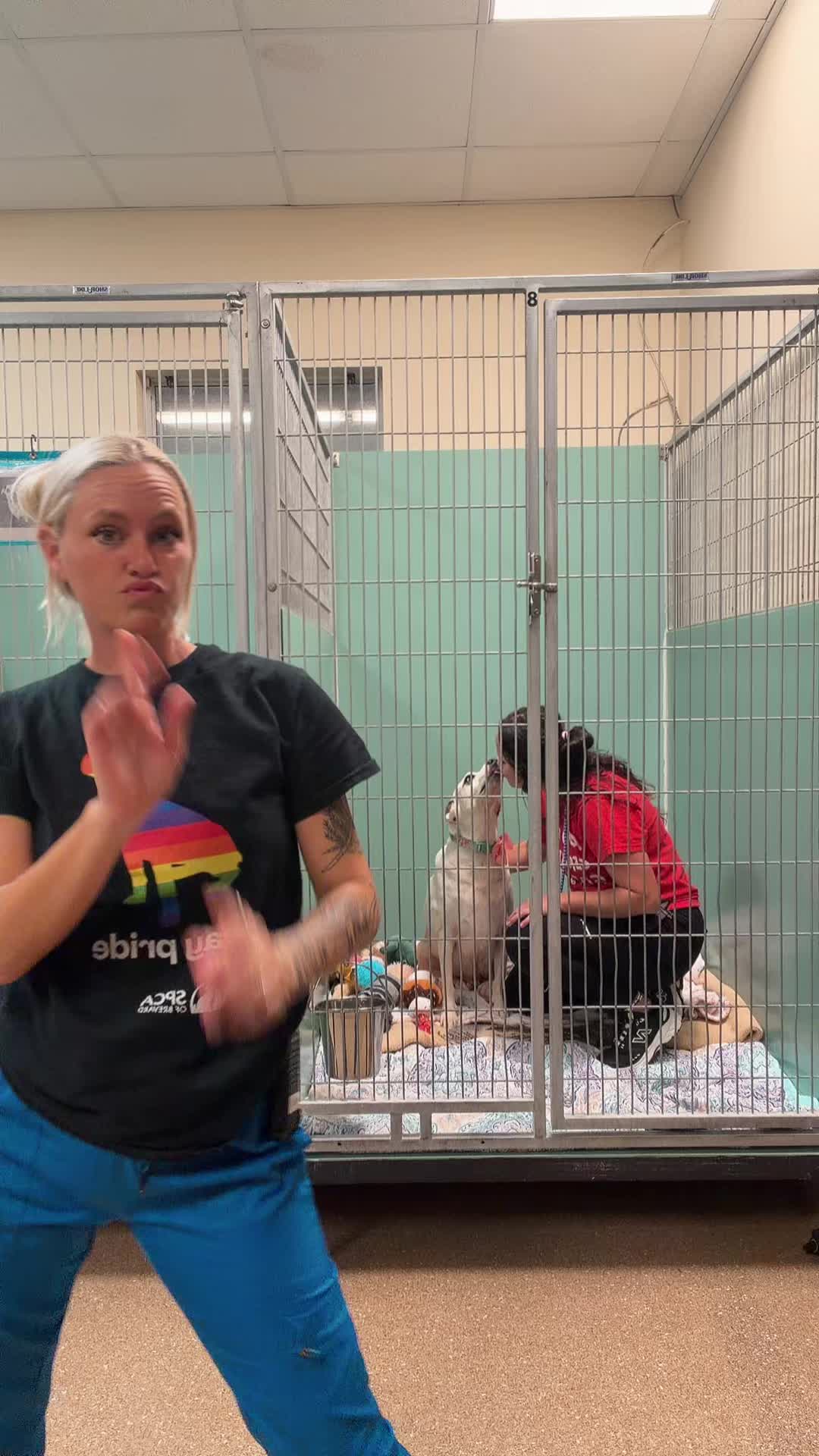 @2vettechs