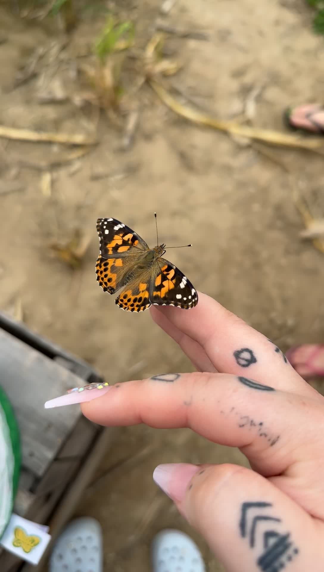 @lainypop420
