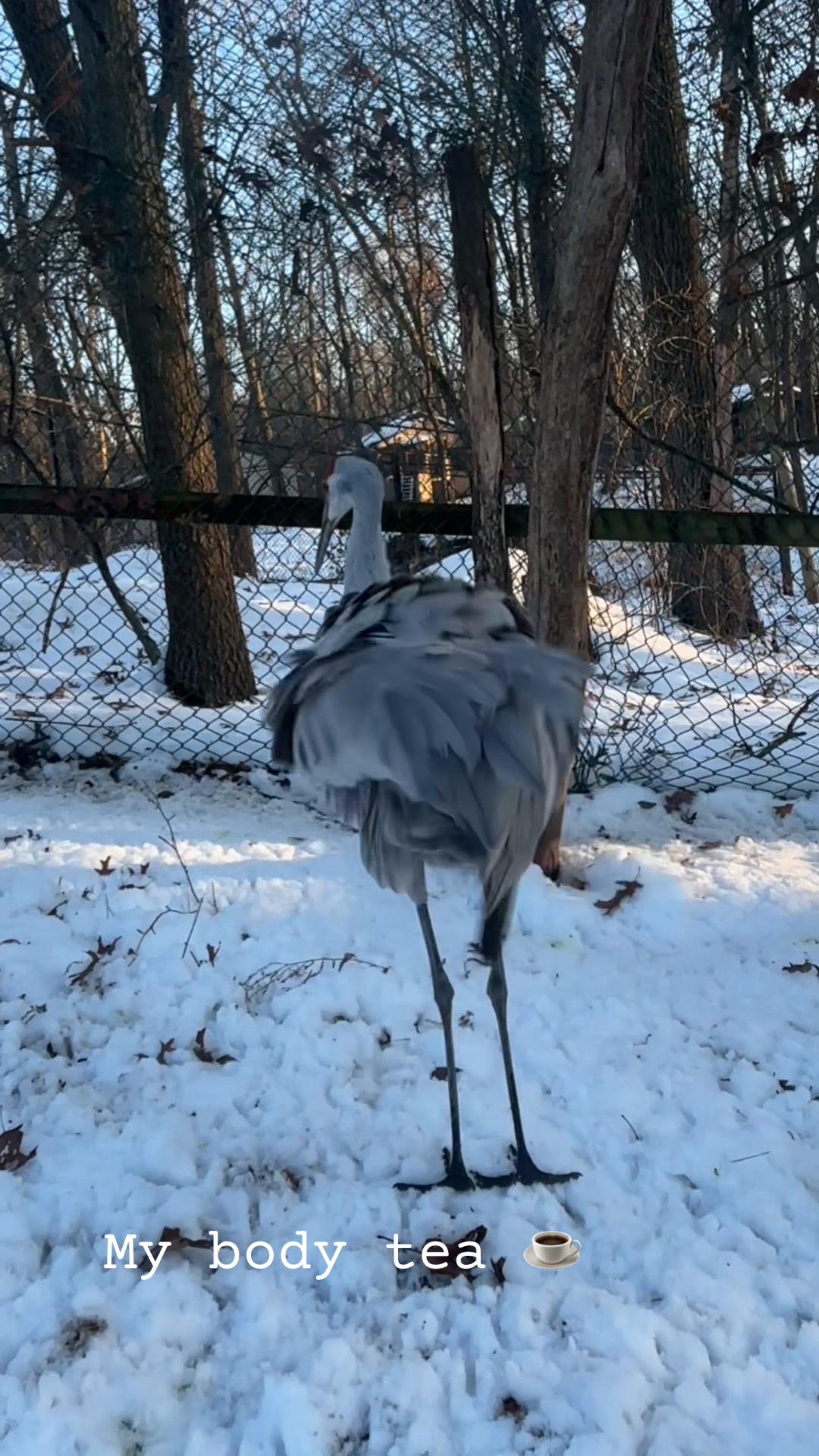 @HowellNatureCenter