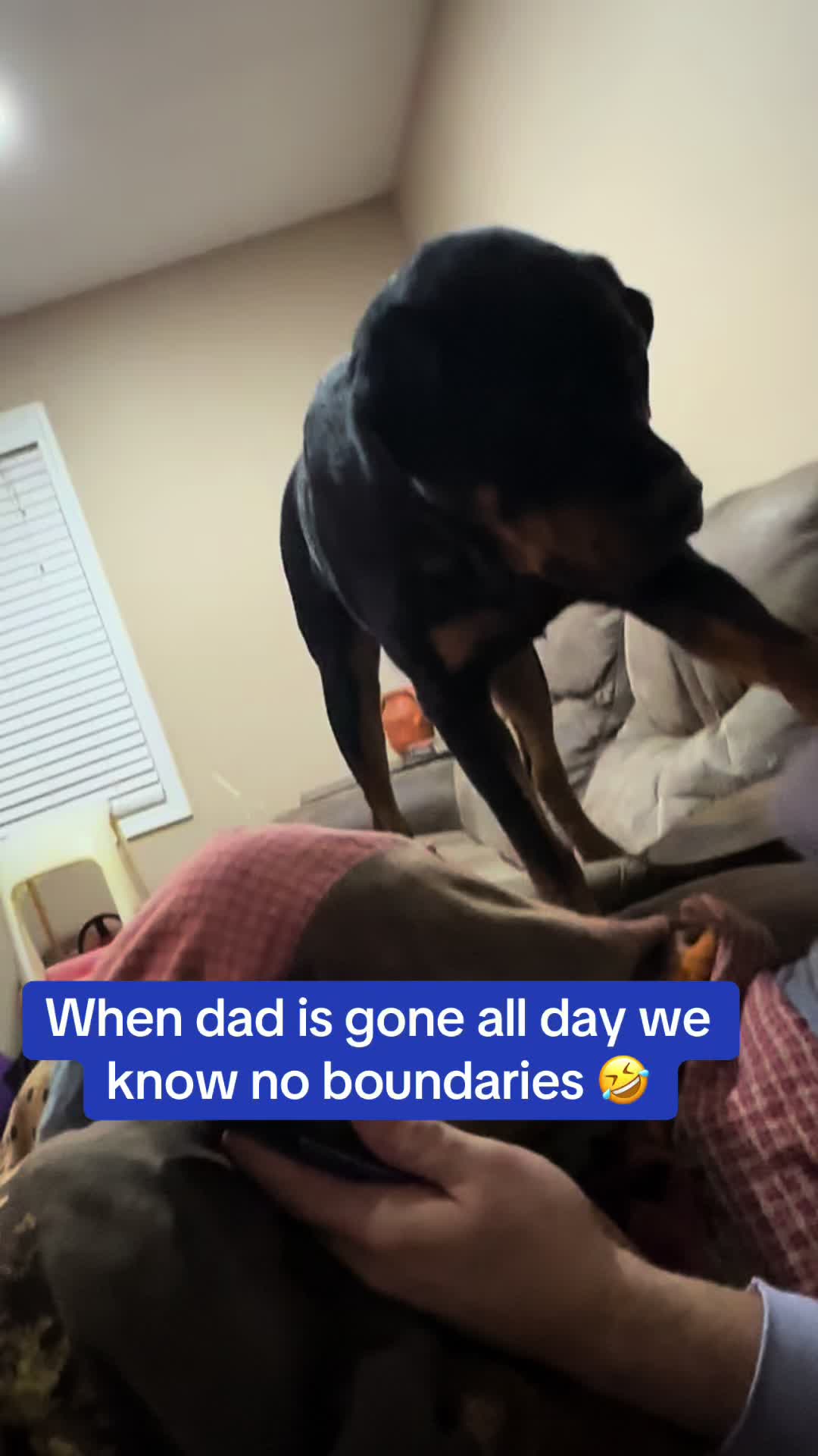 @Christi | RN Dog Lover TTS