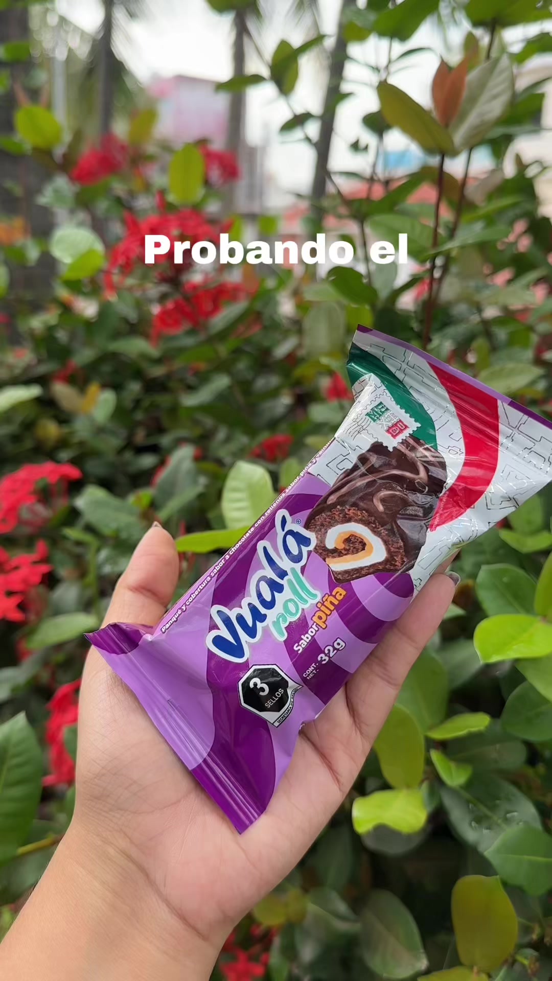@Laguiadeltragon