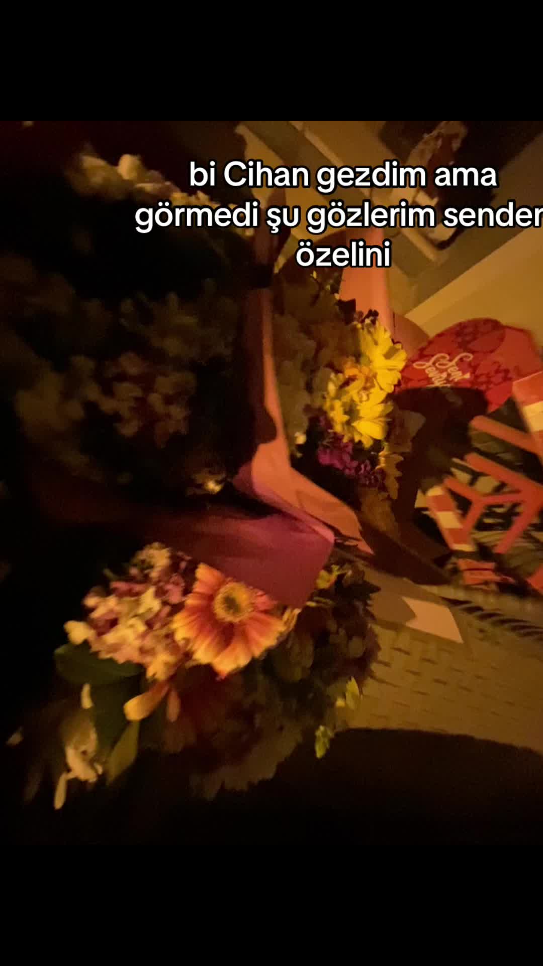 @pawsi💎