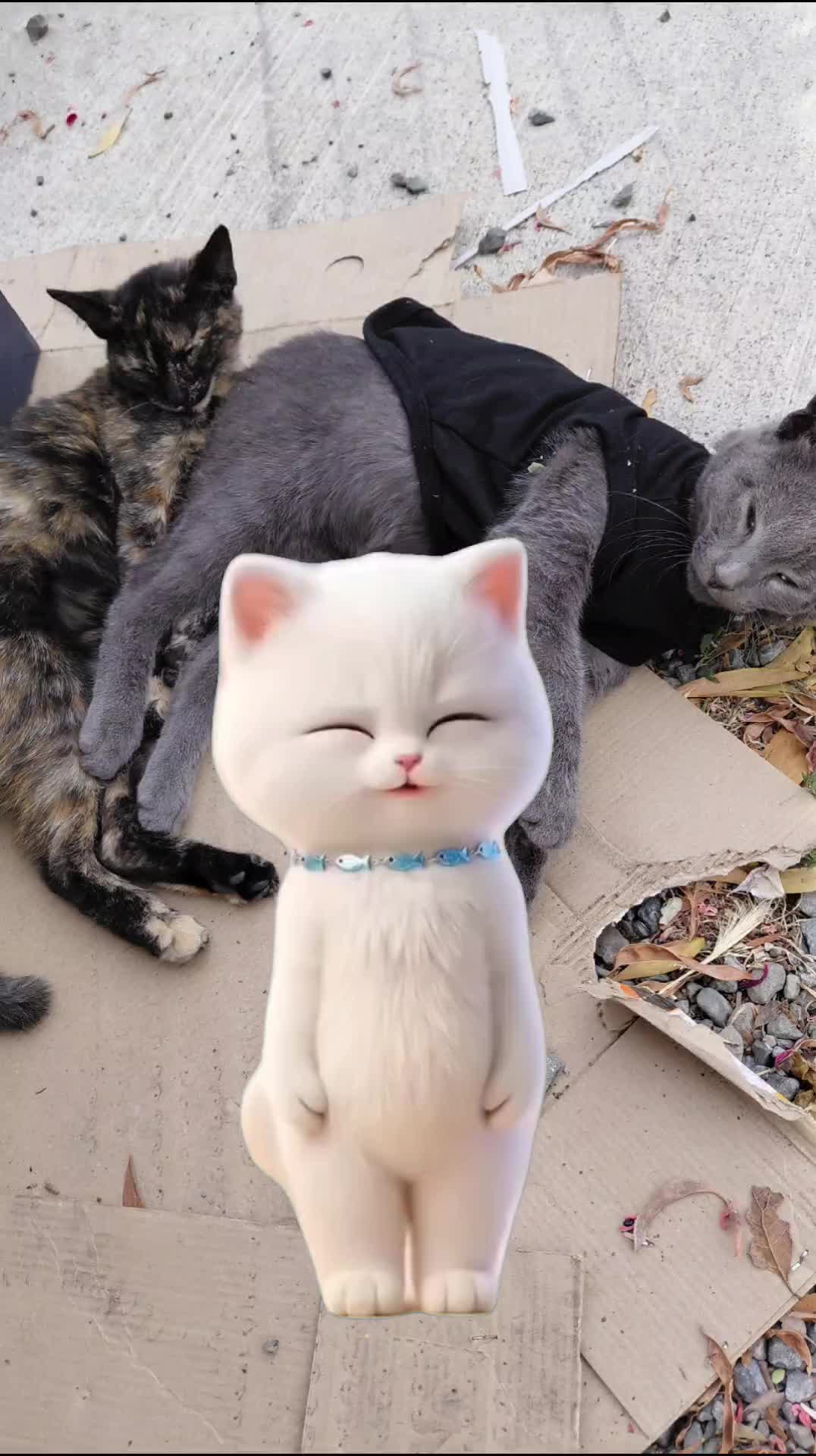 @mari