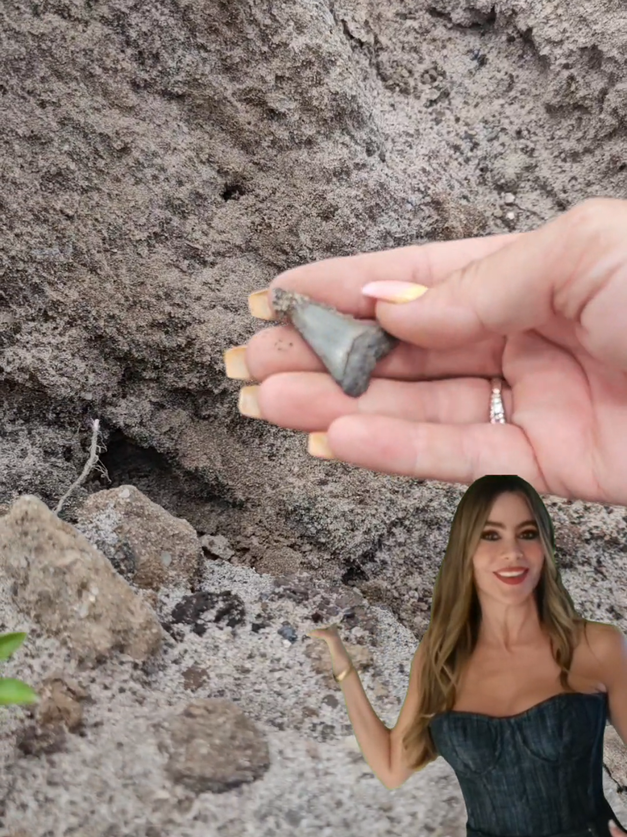 @RelicReef