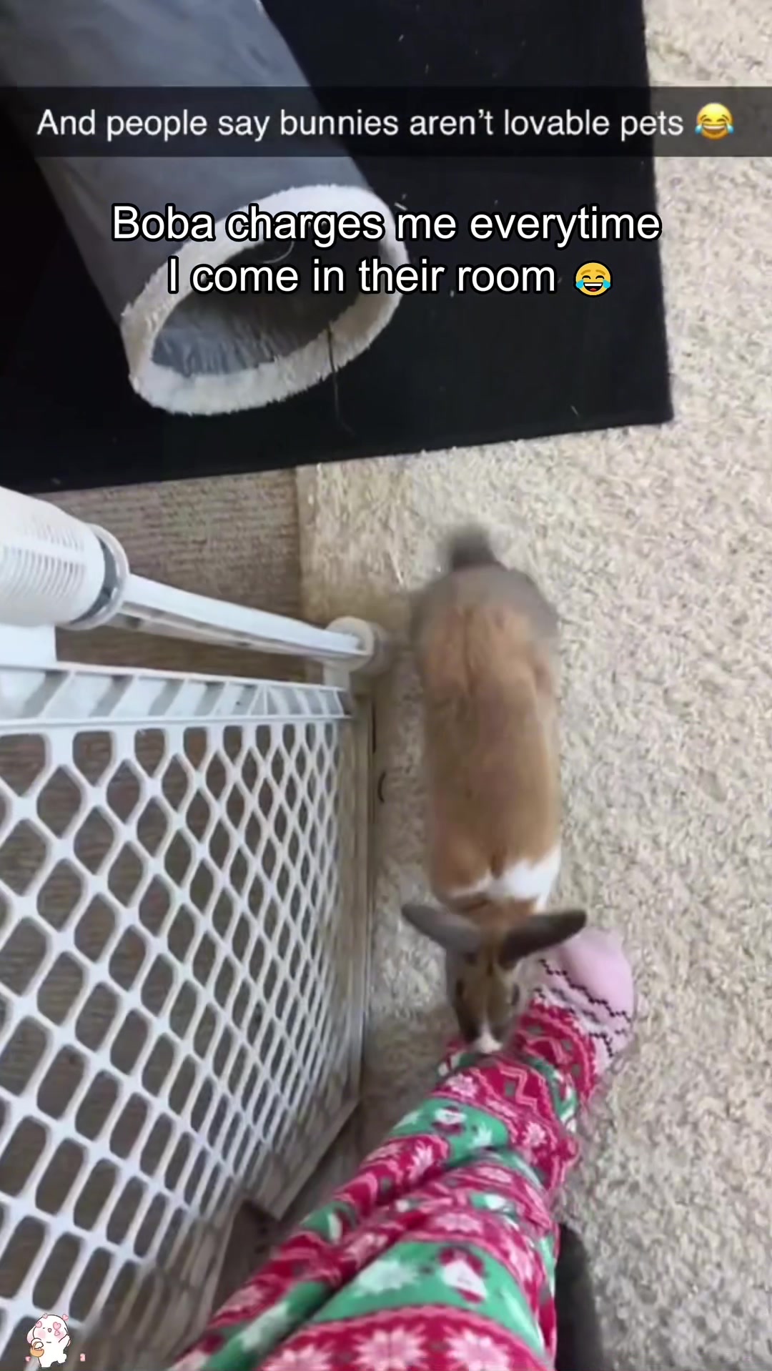 @SneakyFails