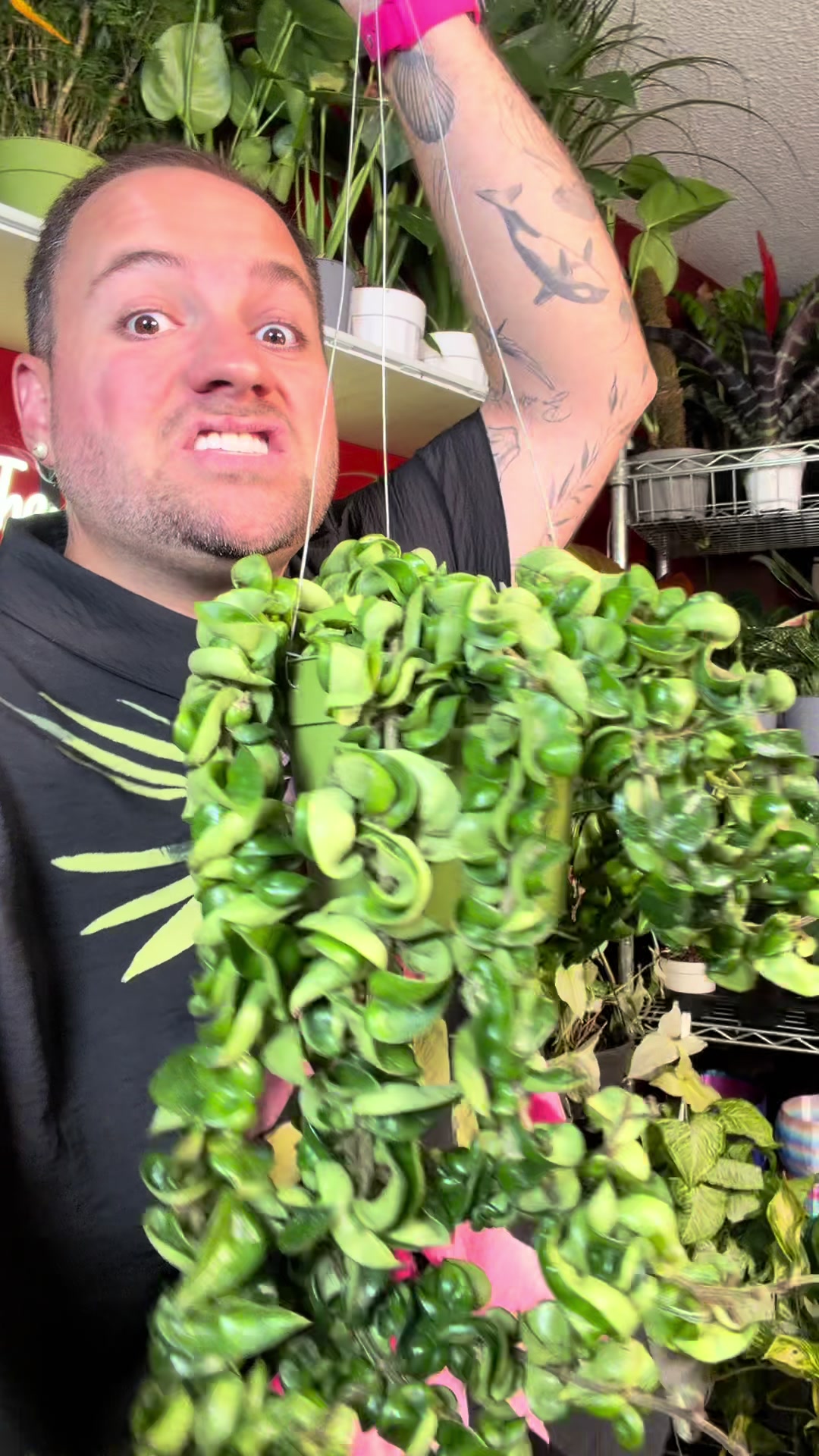 @Brandon The Plant Guy